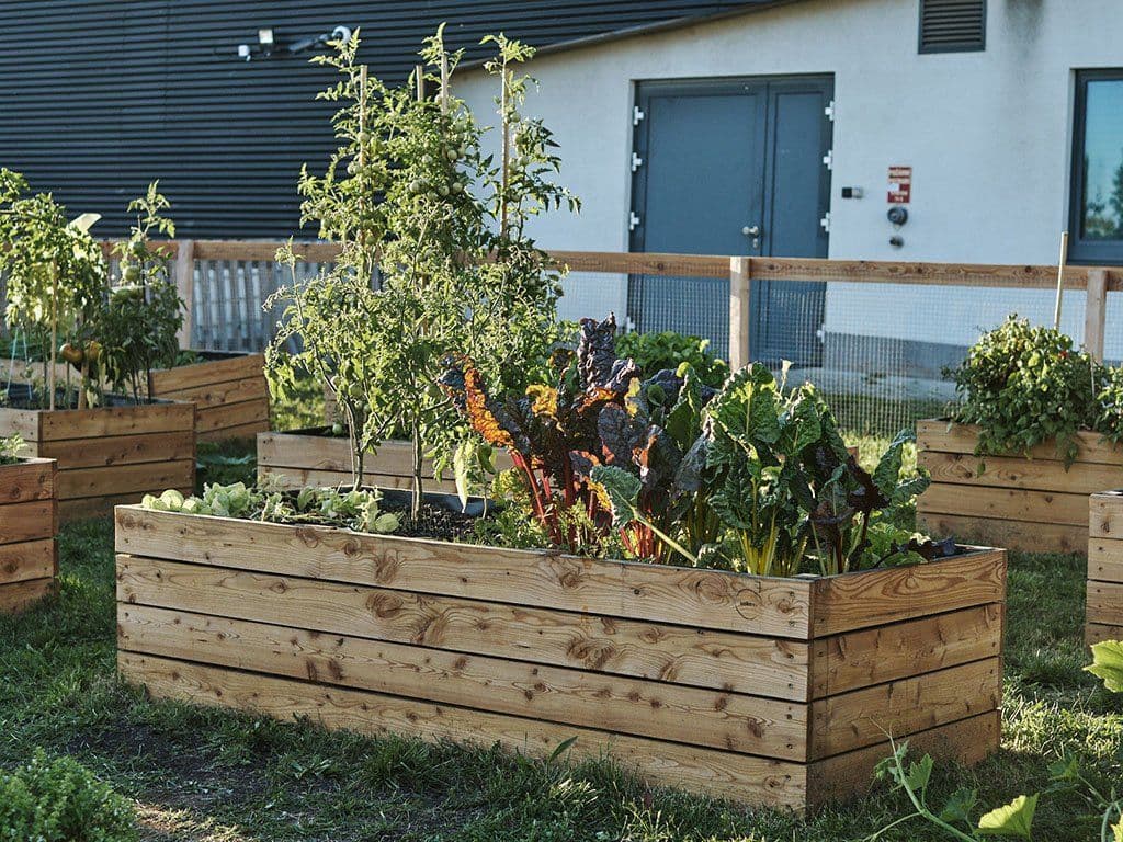 Modřínový záhon 200×80×50 cm-3