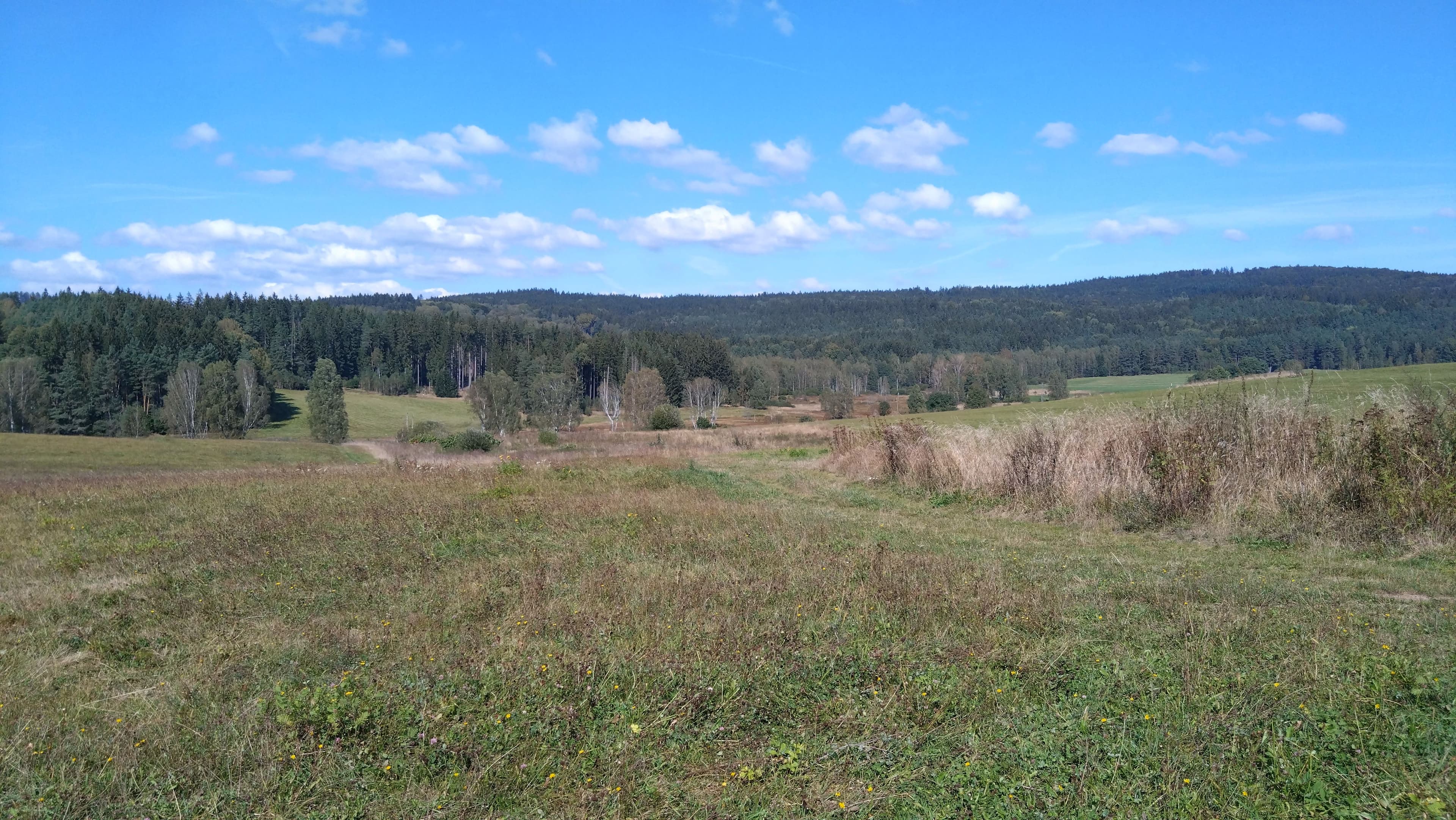 Pozemek 🏡 Pronájem stavebního pozemku v Hošťce, okres Tachov – Klidná lokalita s výbornou dostupností! 🌿