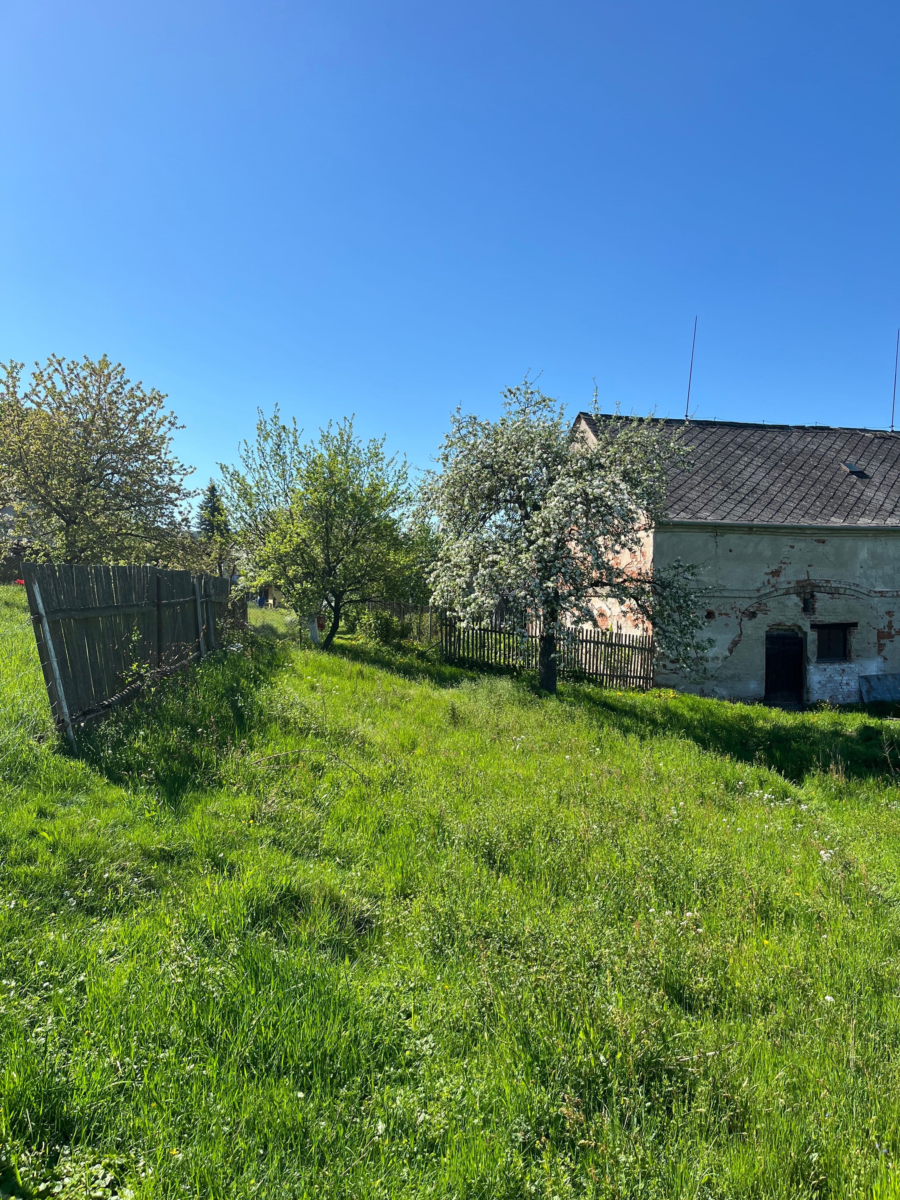Pozemek 🏡 Dlouhodobý pronájem pozemku se zelení – Křemačov u Mohelnice