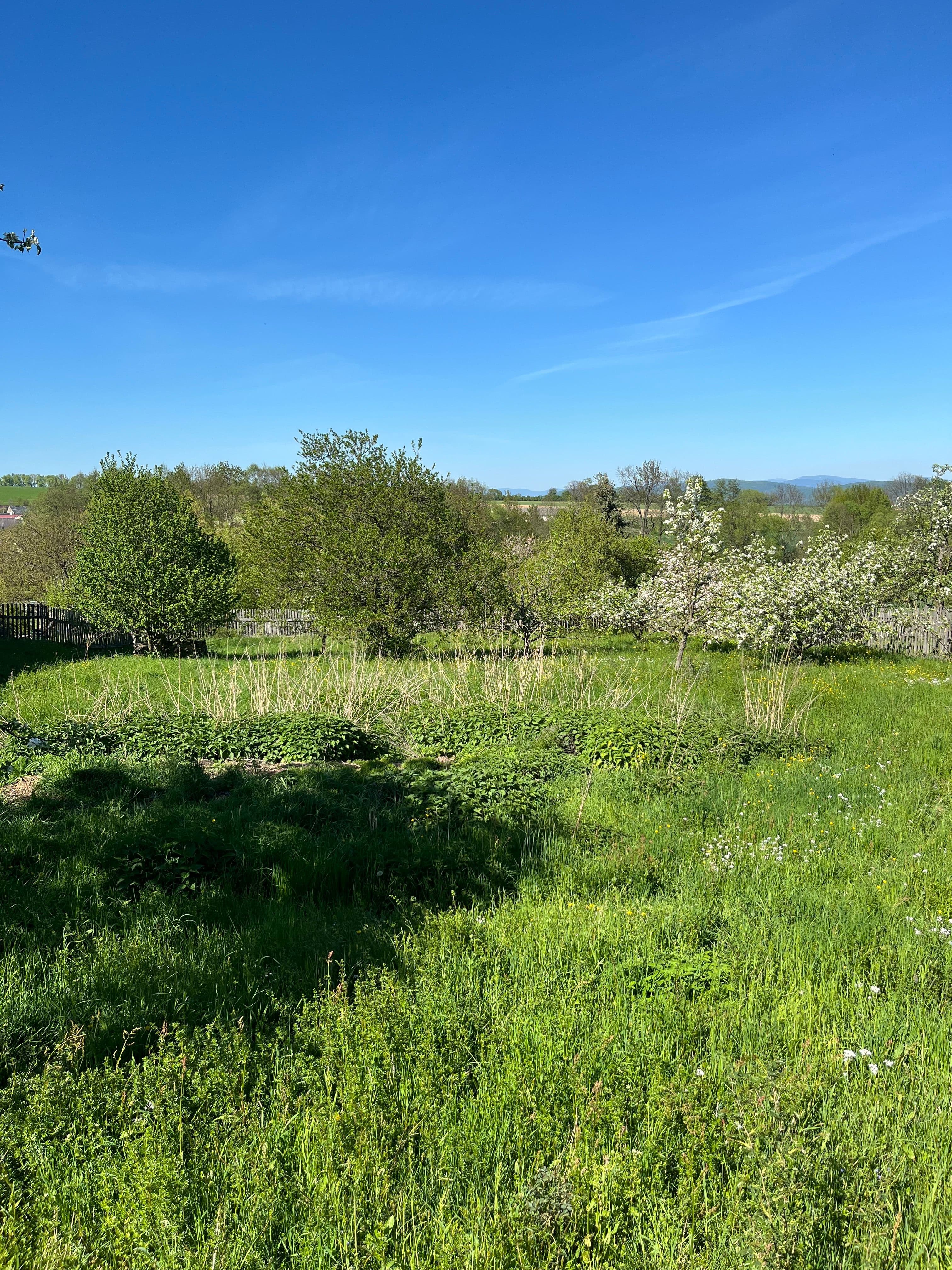 Pozemek 🏡 Dlouhodobý pronájem pozemku se zelení – Křemačov u Mohelnice