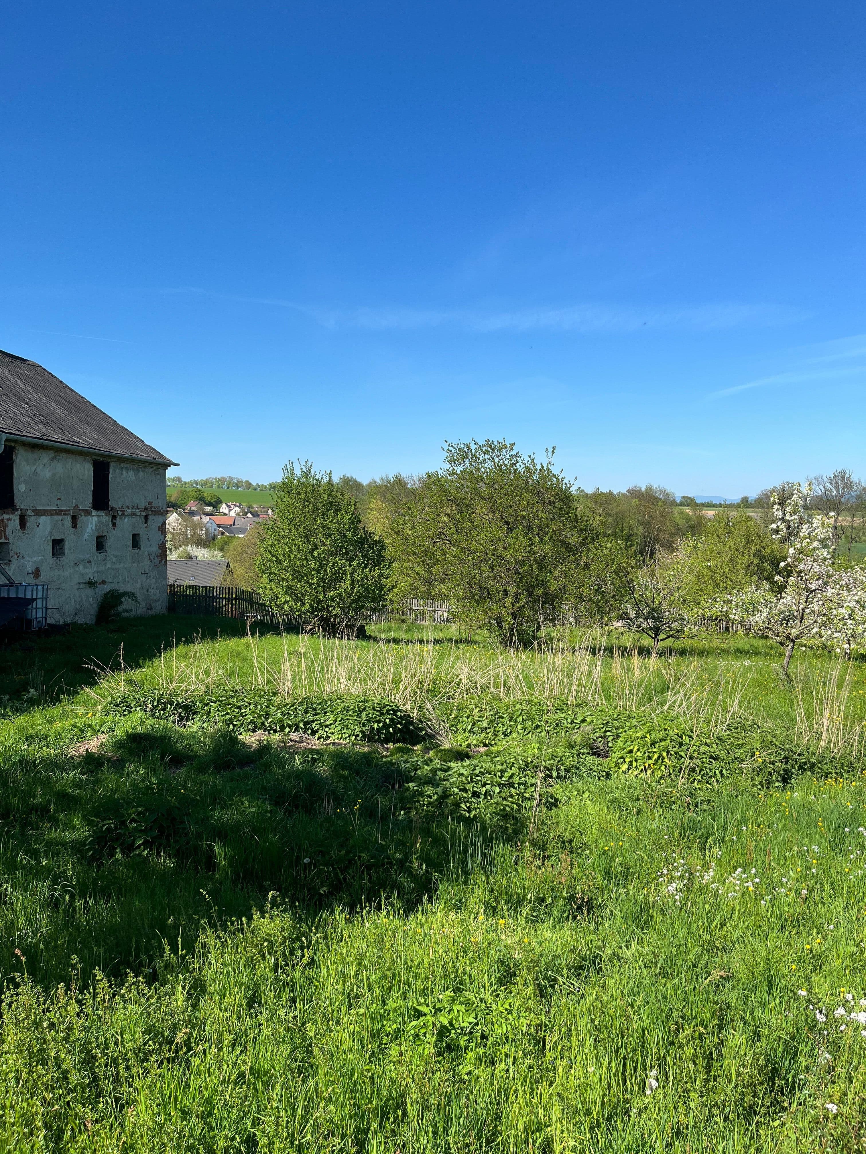 Pozemek 🏡 Dlouhodobý pronájem pozemku se zelení – Křemačov u Mohelnice