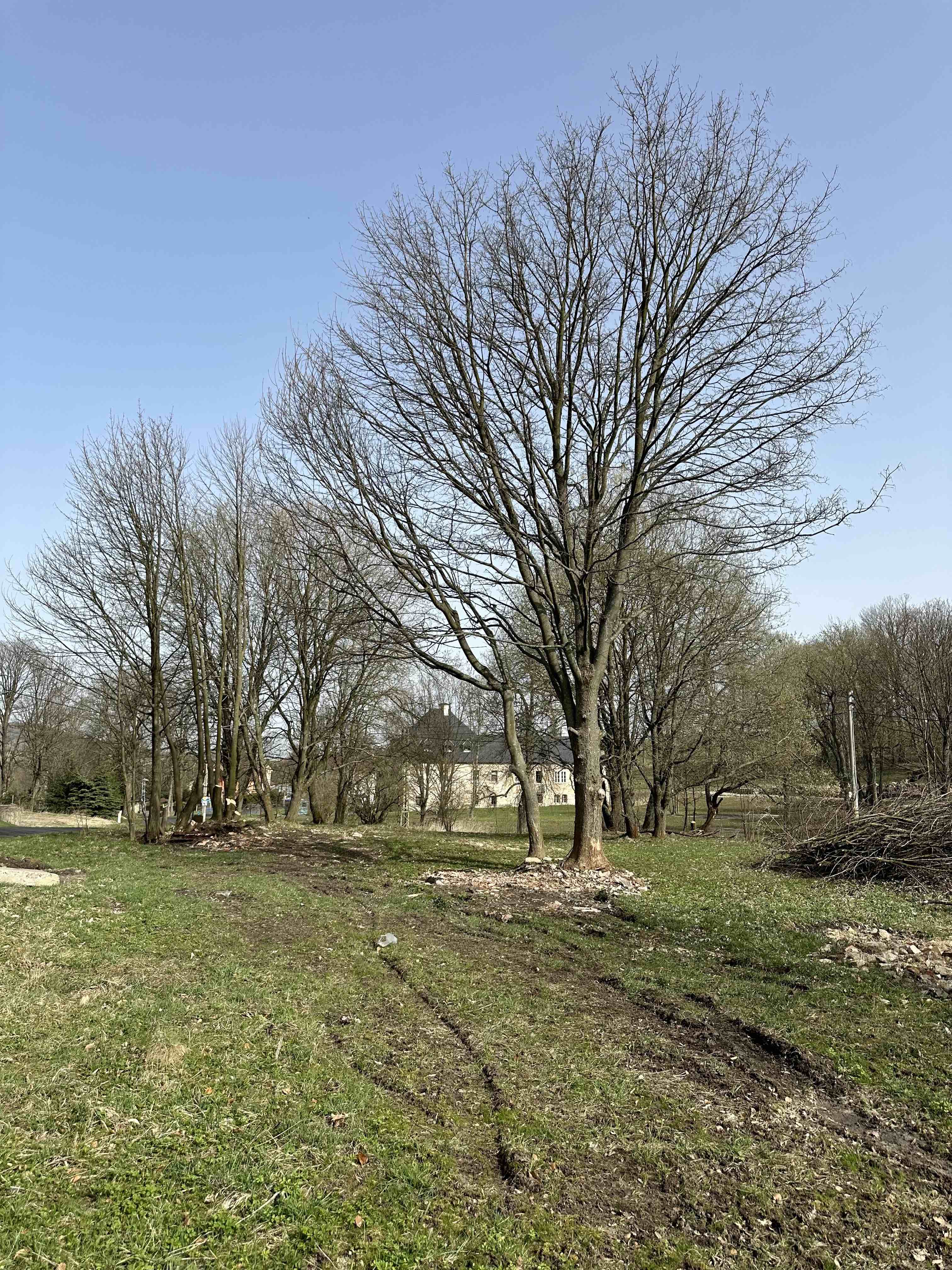 Pozemek Prodej krásného, slunného stavebního pozemku  | 1408 Kč/m2