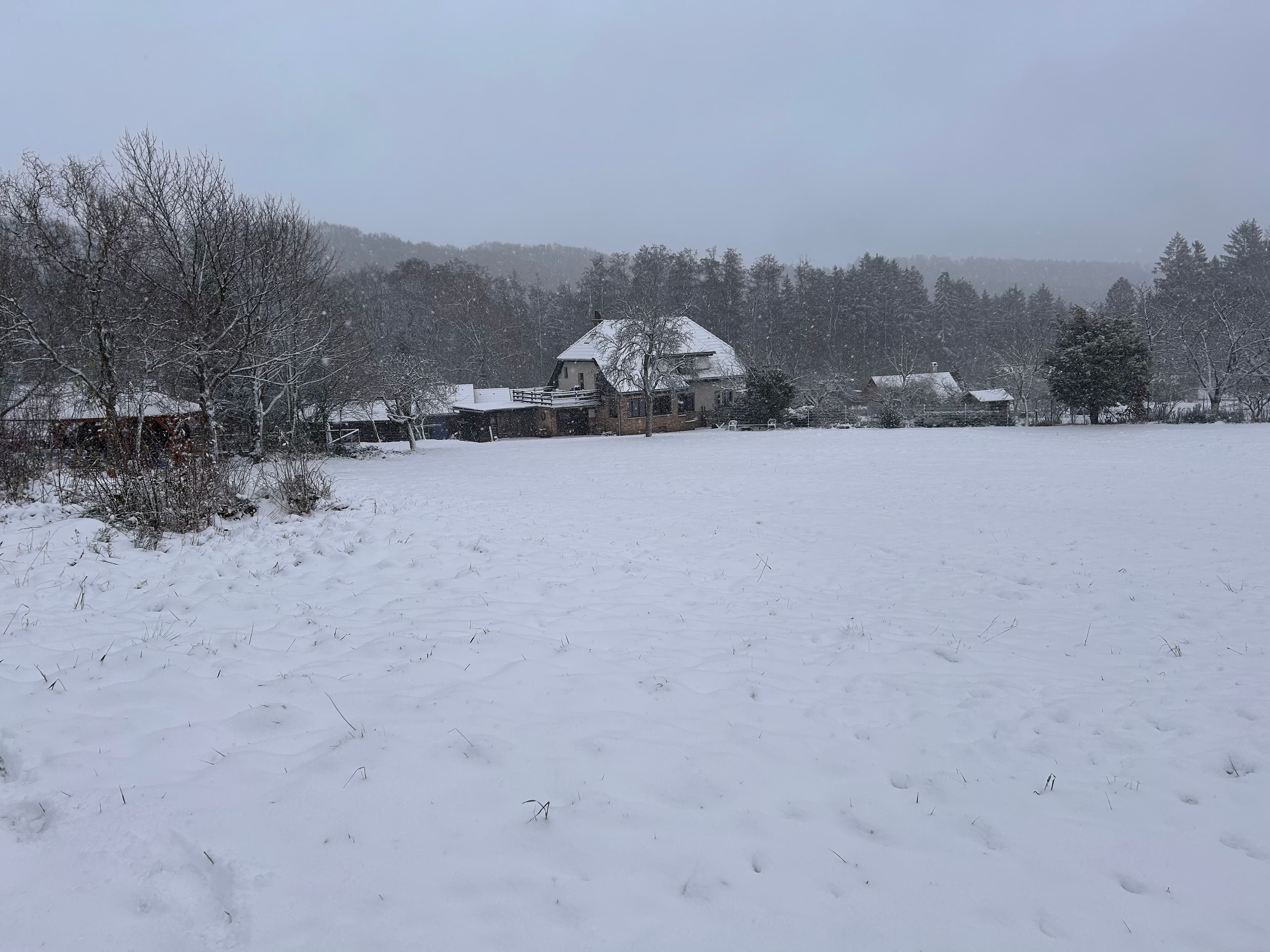 Pozemek Váš budoucí glampingový ráj v srdci Českého Ráje! 