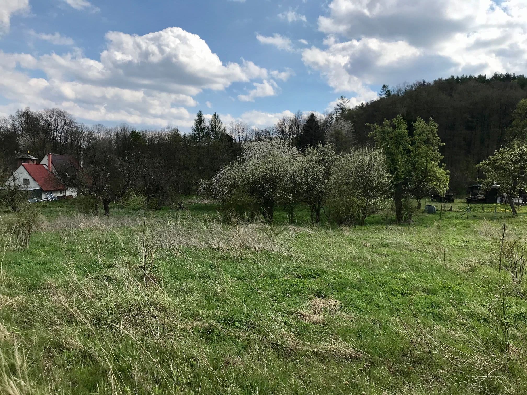 Pozemek 🏡 Pronájem dvou sousedních pozemků v podhůří Rychlebských hor