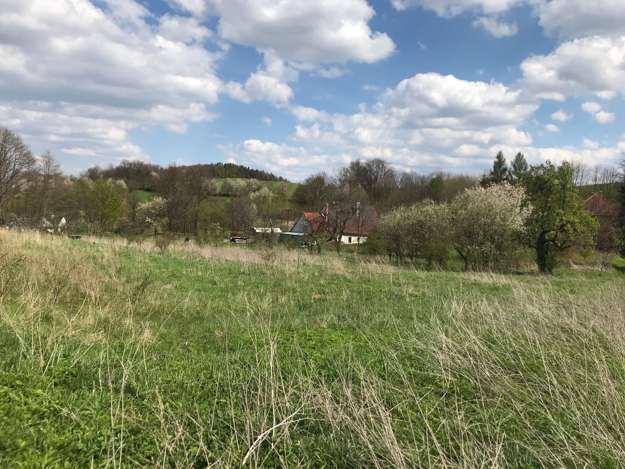 Pozemek 🏡 Pronájem dvou sousedních pozemků v podhůří Rychlebských hor