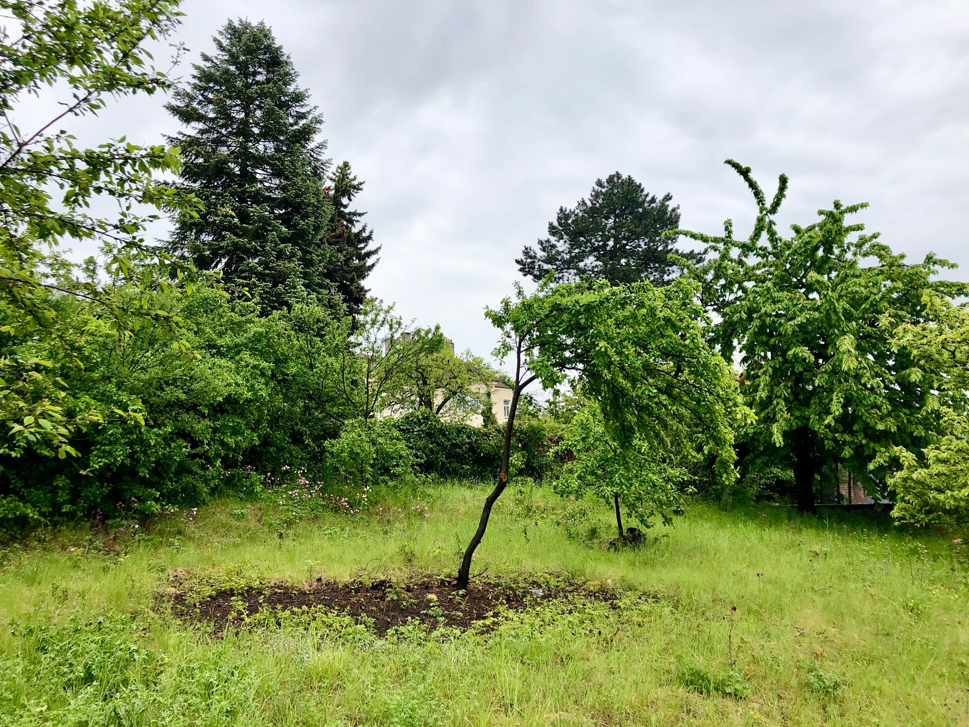 Pozemek 🏡 Pronájem stavebního pozemku v Praze – Čakovicích