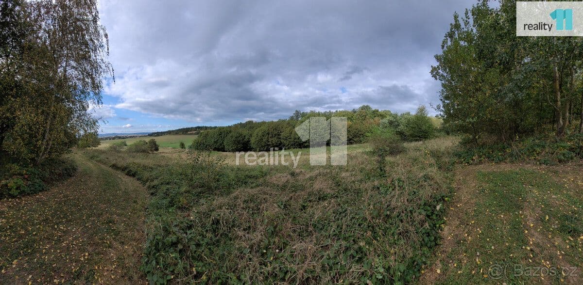 Pozemek Na prodej pozemek určený k výstavbě rekreačních staveb, chat - Písek | Bazoš.cz