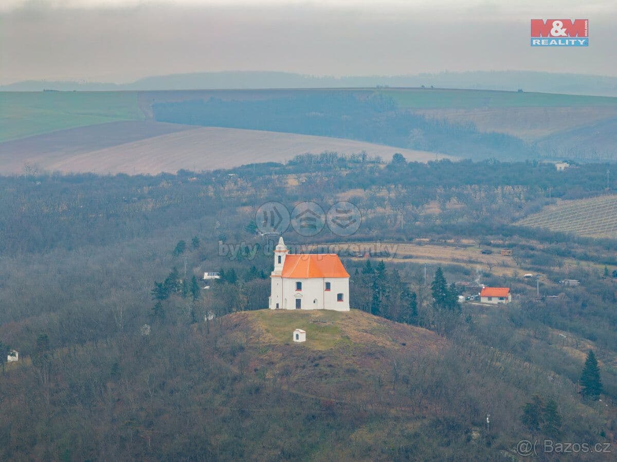 Pozemek Prodej vinice v Dolních Kounicích - Brno venkov | Bazoš.cz