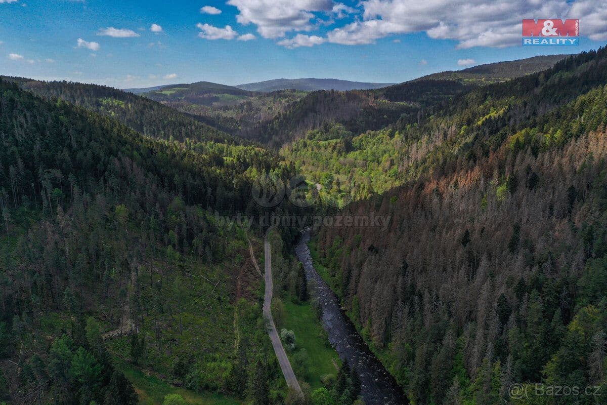 Pozemek Prodej pozemku k bydlení, 4185 m², Rejštejn - Klatovy | Bazoš.cz