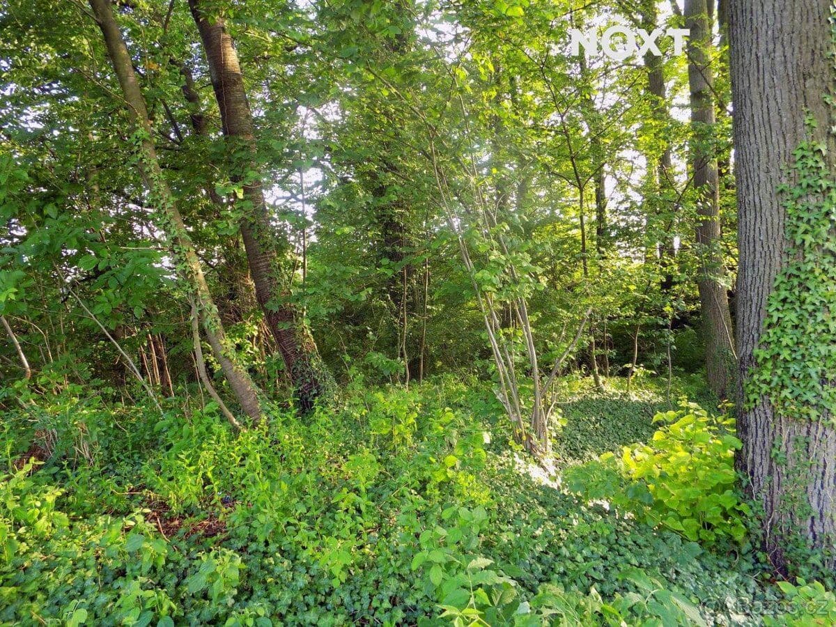 Pozemek Prodej pozemek Bydlení - Jeseník | Bazoš.cz