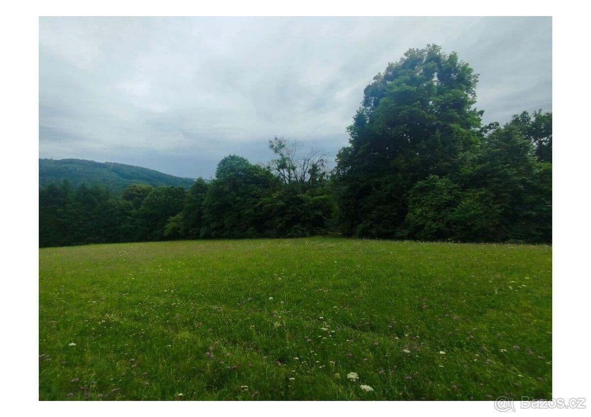 Pozemek Prodej stavebního pozemku 7165 m², Odry, Klokočůvek - Nový Jičín | Bazoš.cz