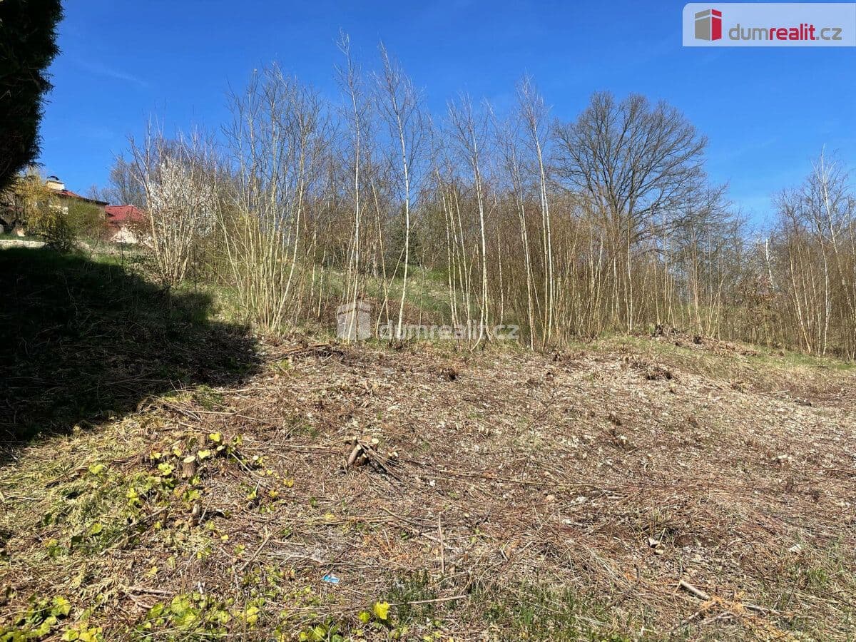 Pozemek Prodej, stavební pozemek, Cheb (Zlatý vrch-pod Růžovým pahor - Cheb | Bazoš.cz