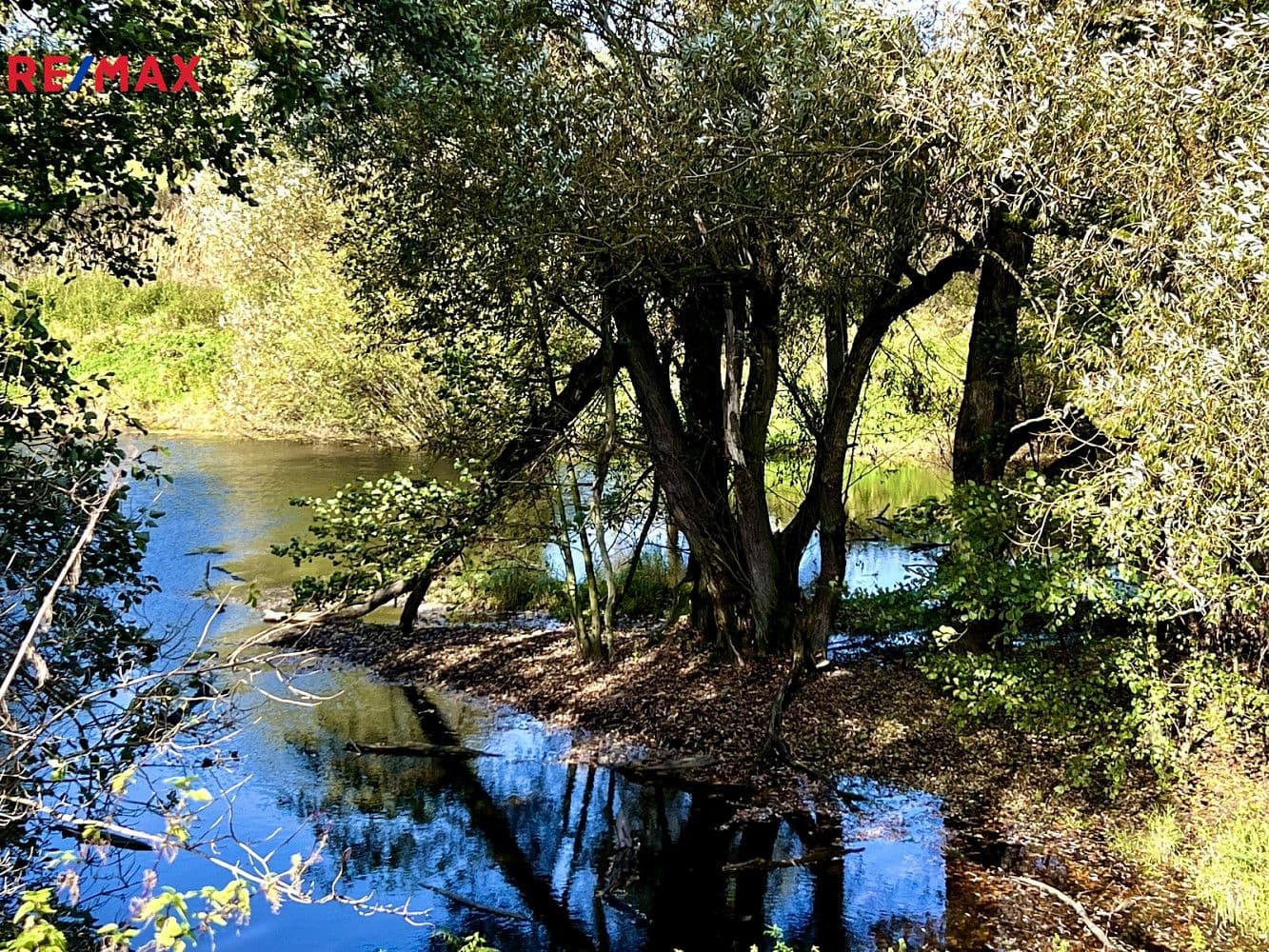 Pozemek Prodej pozemku 8 558 m²