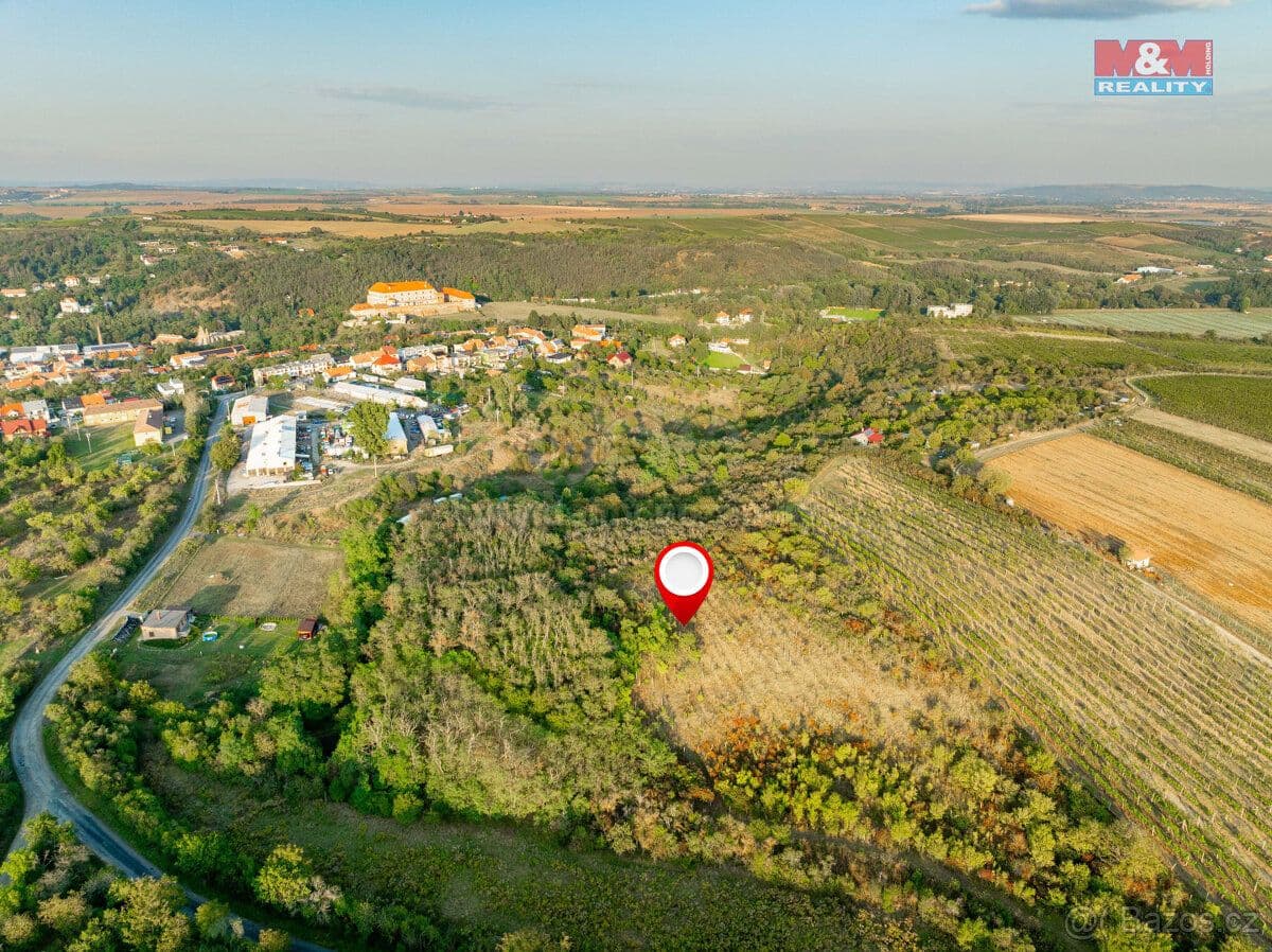 Pozemek Prodej vinice v Dolních Kounicích - Brno venkov | Bazoš.cz