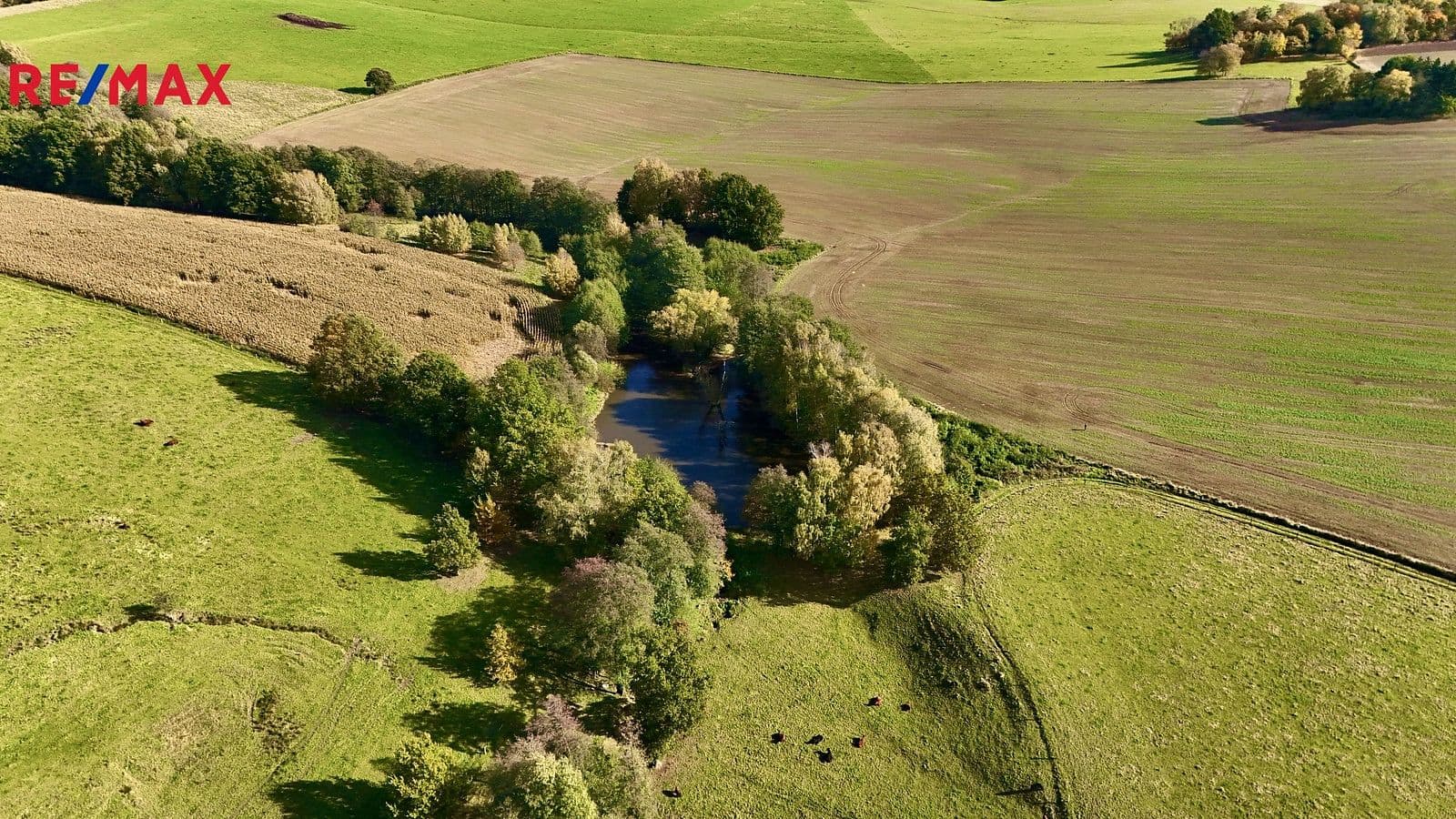 Pozemek Prodej pozemku 8 558 m²