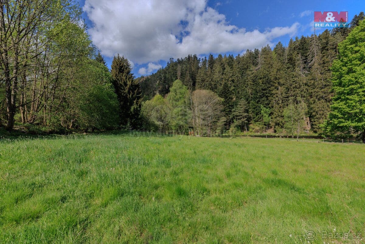 Pozemek Prodej pozemku k bydlení, 4185 m², Rejštejn - Klatovy | Bazoš.cz