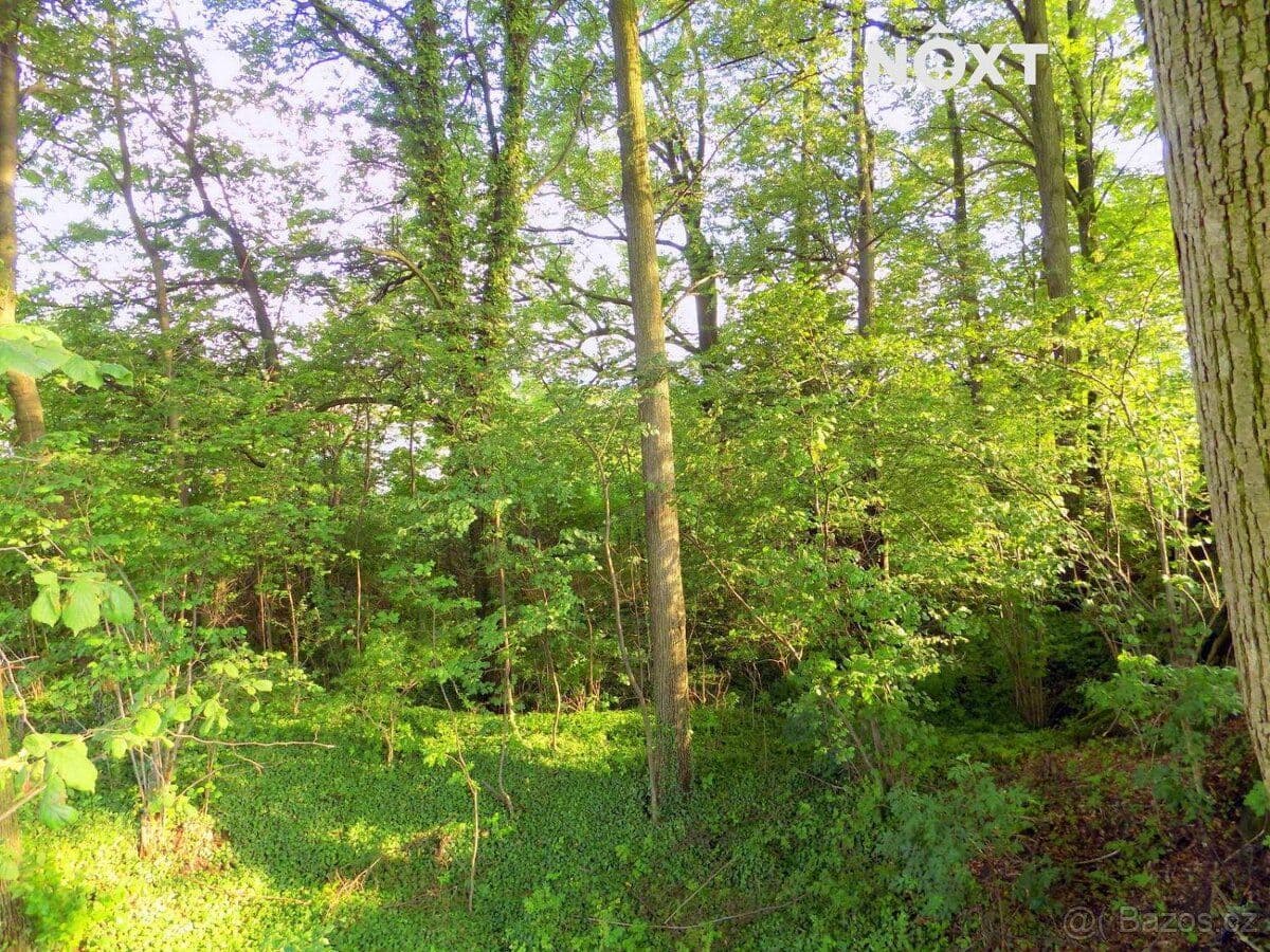 Pozemek Prodej pozemek Bydlení - Jeseník | Bazoš.cz