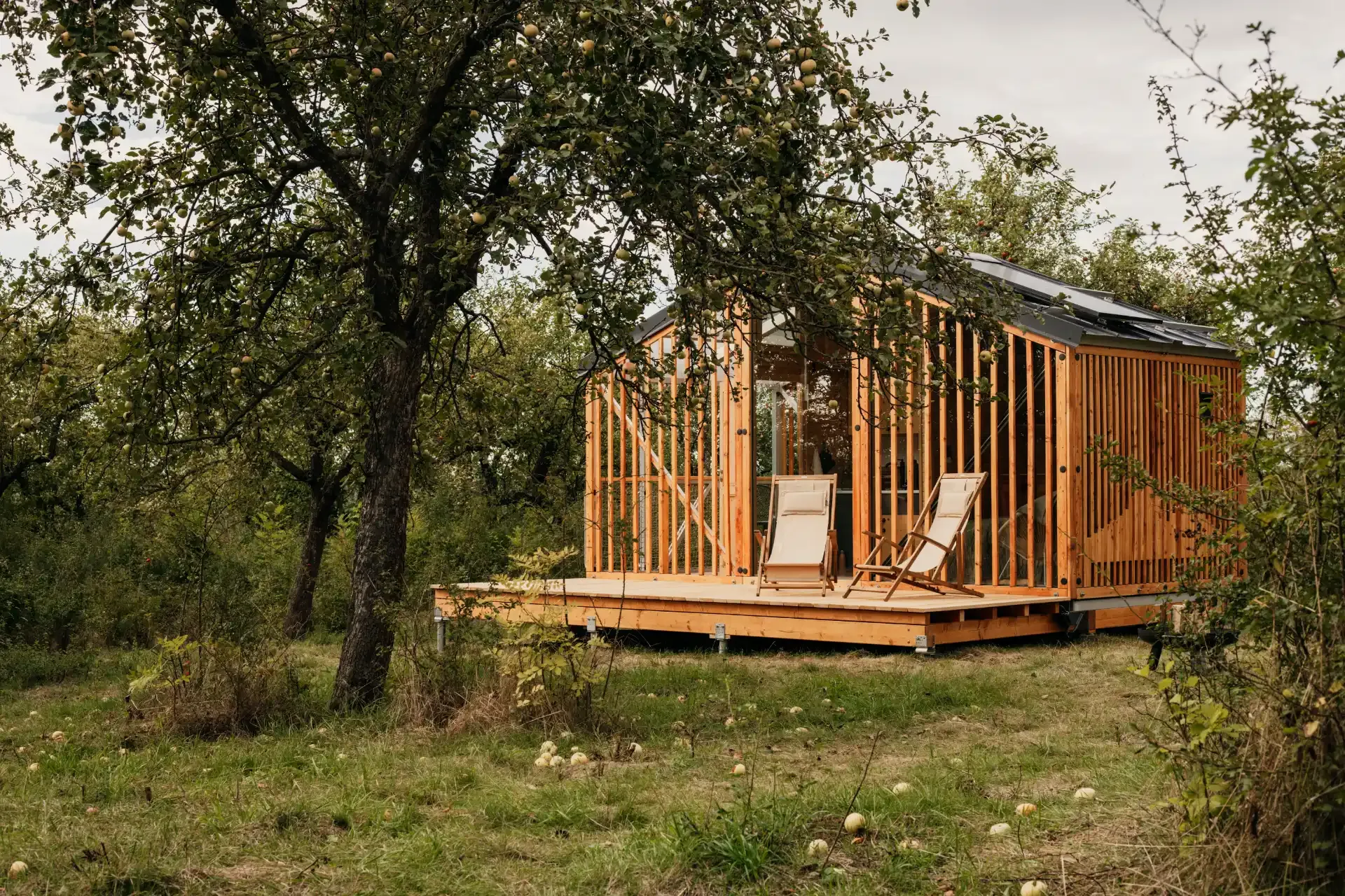 Glamping na prodej: Útulna v sadu 30min od Prahy 1