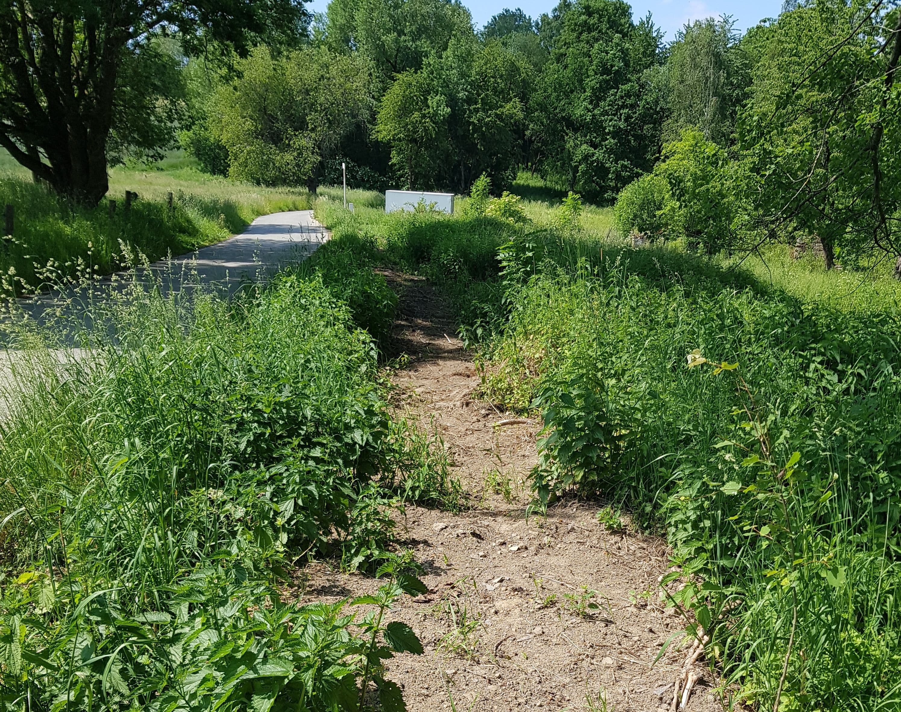 Pozemek 🌿 Pronájem části stavebního pozemku v Nové Vísce Pozemek 🌿 Pronájem části stavebního pozemku v Nové Vísce