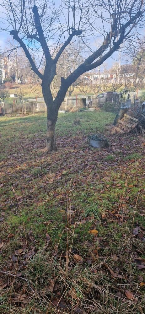 Pozemek 🏡 Pronájem stavebního pozemku v srdci přírody! Pozemek 🏡 Pronájem stavebního pozemku v srdci přírody!