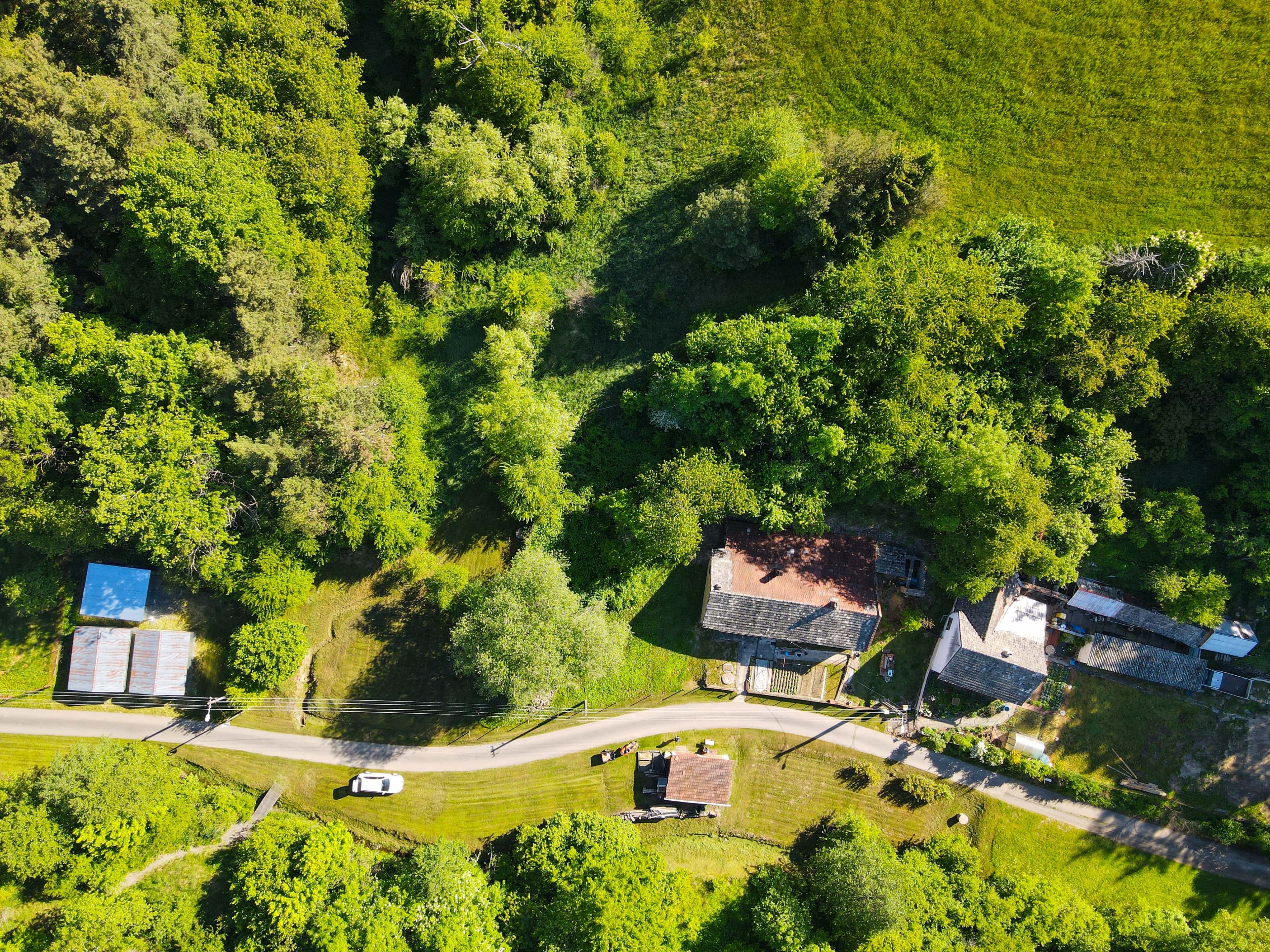 Pozemek 🏡 Prodej pozemku na okraji lesa v obci Kulířov – ideální pro milovníky přírody Pozemek 🏡 Prodej pozemku na okraji lesa v obci Kulířov – ideální pro milovníky přírody