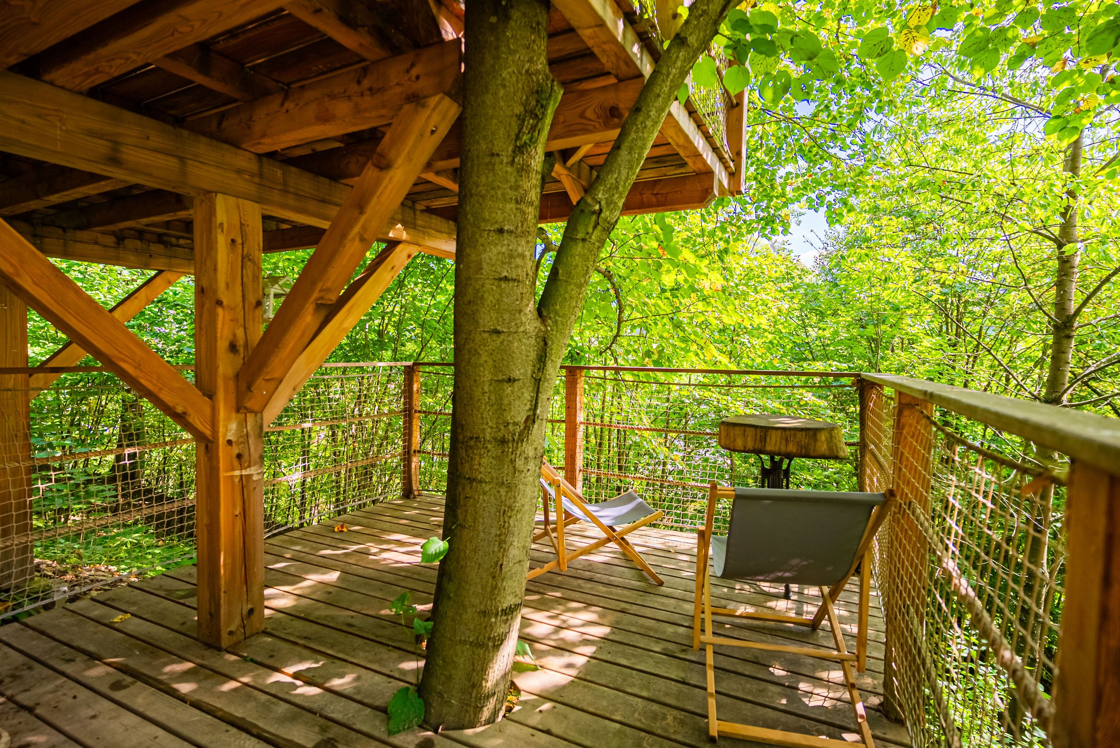 Pozemek 🏡 Na prodej: úspěšný zavedený glamping Treehouse Na Stráni – pozemek se stavbami, know-how Pozemek 🏡 Na prodej: úspěšný zavedený glamping Treehouse Na Stráni – pozemek se stavbami, know-how