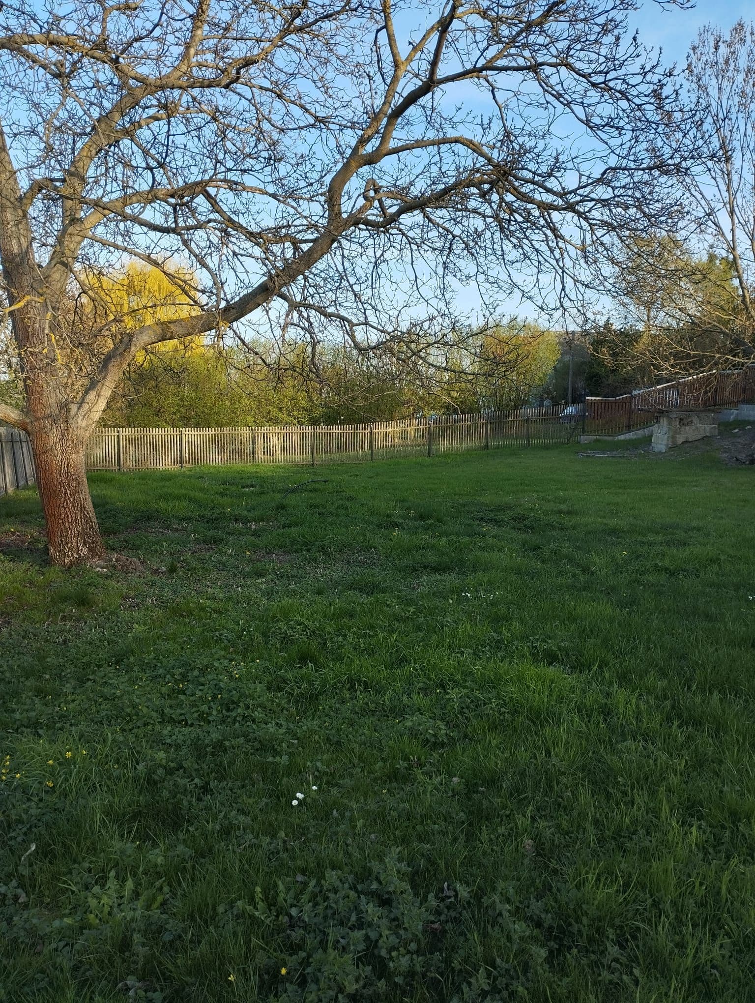 Pozemek 🏡 Pronájem malebného venkovského pozemku v Jištěrpech – pro klidné bydlení i ubytování pod kopcem Sedlo Pozemek 🏡 Pronájem malebného venkovského pozemku v Jištěrpech – pro klidné bydlení i ubytování pod kopcem Sedlo