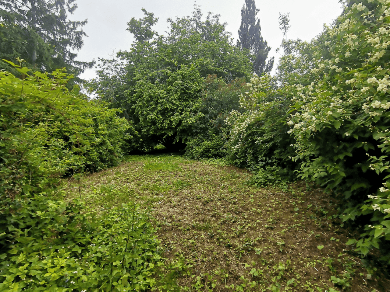 Pozemek 🏡 Pronájem kouzelného stavebního pozemku ve Velkých Popovicích – oáza klidu v přírodě! Pozemek 🏡 Pronájem kouzelného stavebního pozemku ve Velkých Popovicích – oáza klidu v přírodě!