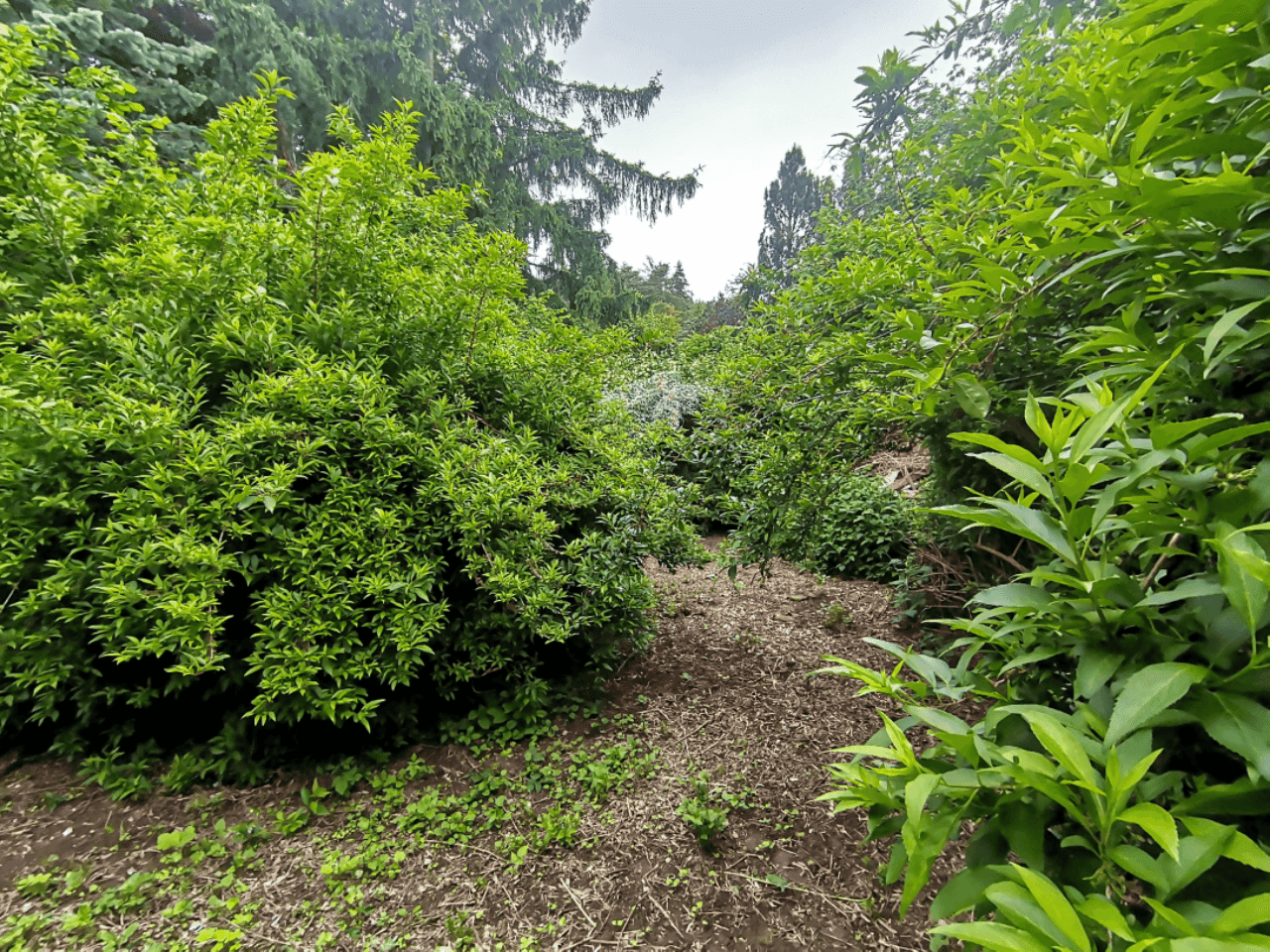 Pozemek 🏡 Pronájem kouzelného stavebního pozemku ve Velkých Popovicích – oáza klidu v přírodě! Pozemek 🏡 Pronájem kouzelného stavebního pozemku ve Velkých Popovicích – oáza klidu v přírodě!