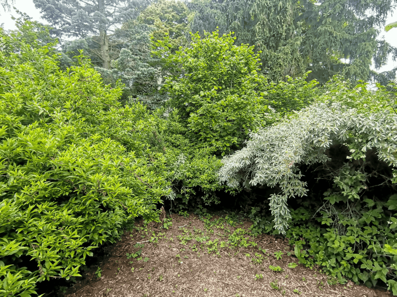 Pozemek 🏡 Pronájem kouzelného stavebního pozemku ve Velkých Popovicích – oáza klidu v přírodě! Pozemek 🏡 Pronájem kouzelného stavebního pozemku ve Velkých Popovicích – oáza klidu v přírodě!