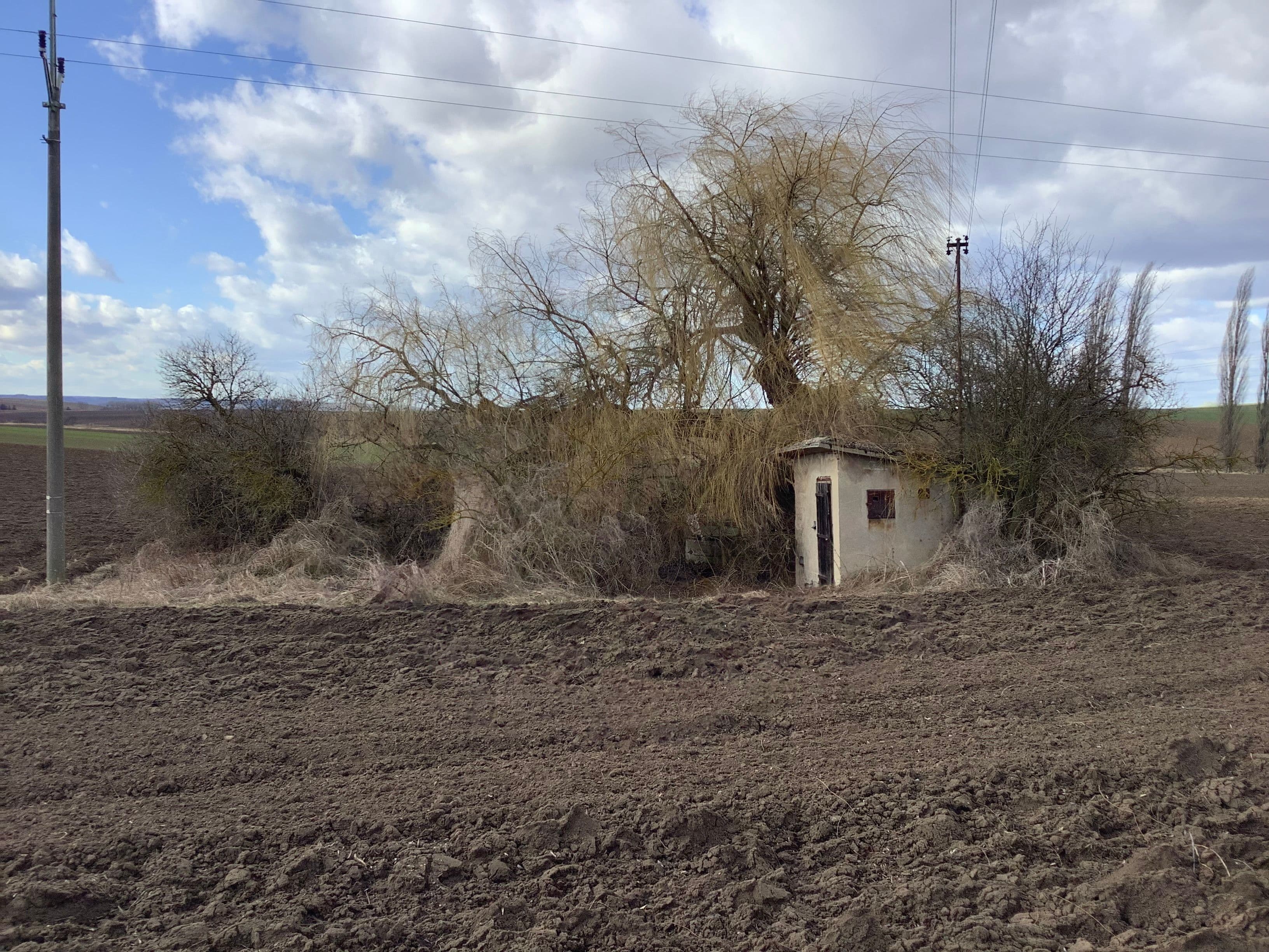 Pozemek Soubor pozemků s krásnou vrbou v Mančicích Pozemek Soubor pozemků s krásnou vrbou v Mančicích