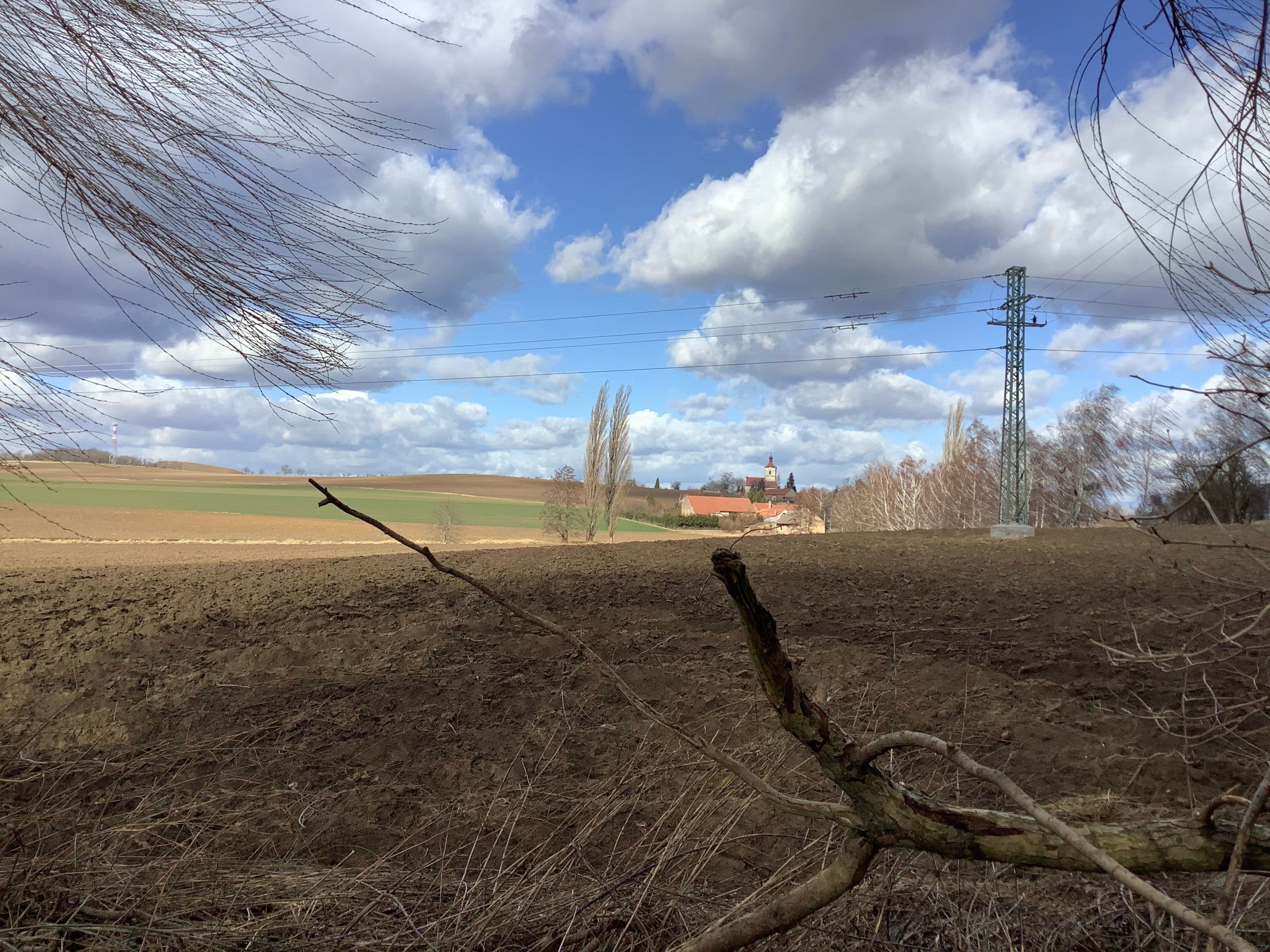 Pozemek Soubor pozemků s krásnou vrbou v Mančicích Pozemek Soubor pozemků s krásnou vrbou v Mančicích