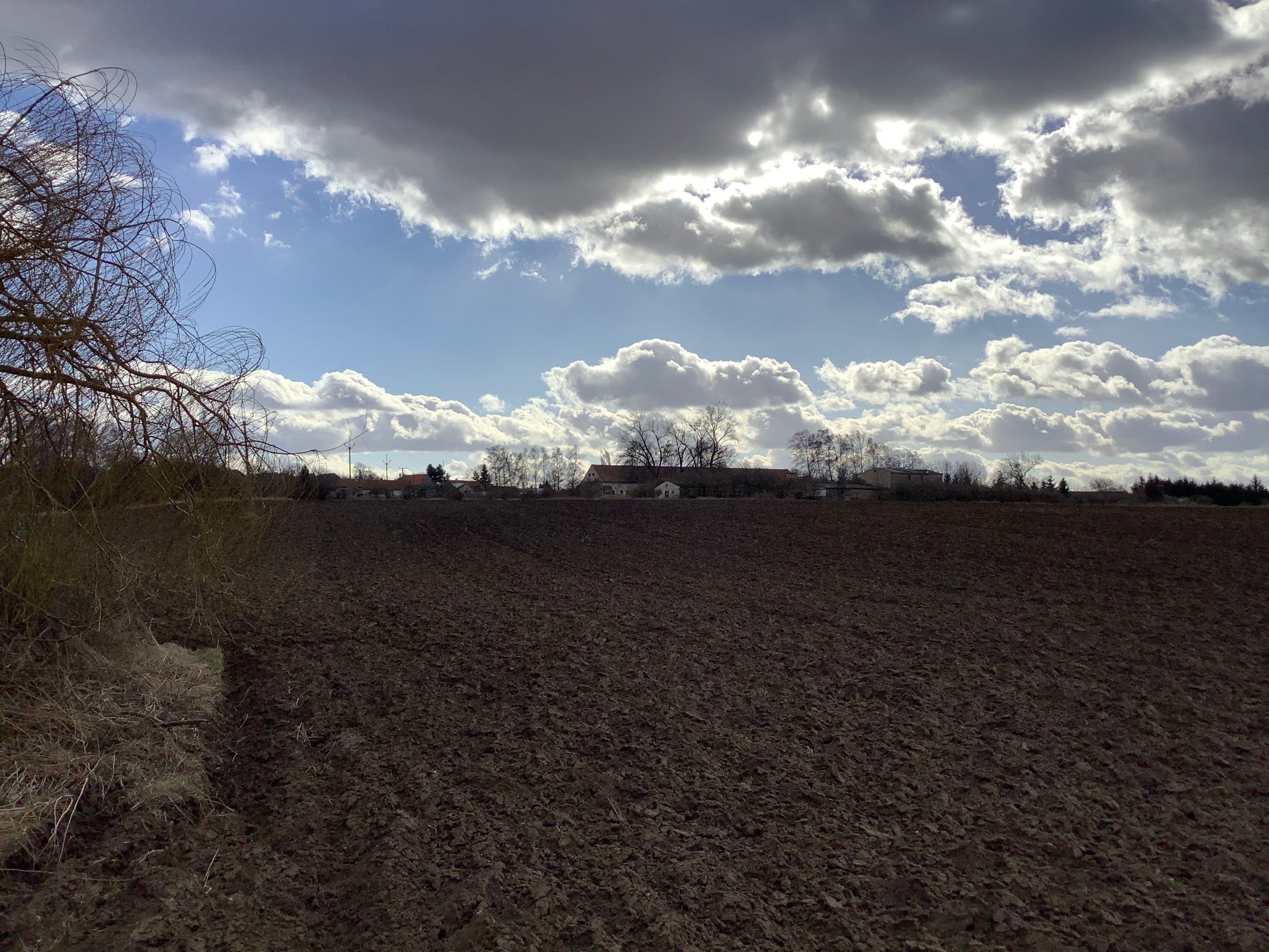 Pozemek Soubor pozemků s krásnou vrbou v Mančicích Pozemek Soubor pozemků s krásnou vrbou v Mančicích