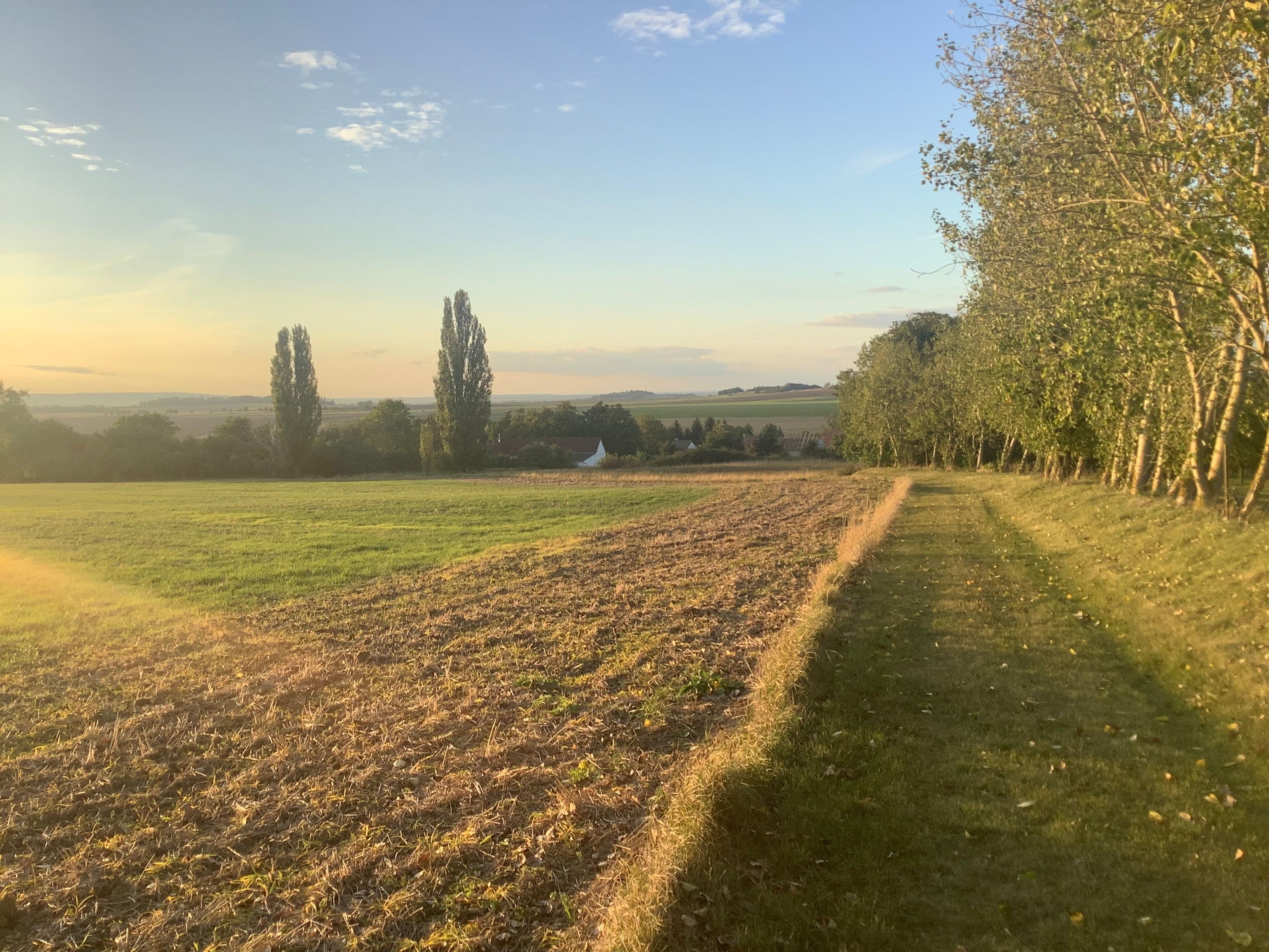 Pozemek Pozemek s loukou a statným ořešákem v Mančicích vhodný pro tiny house Pozemek Pozemek s loukou a statným ořešákem v Mančicích vhodný pro tiny house