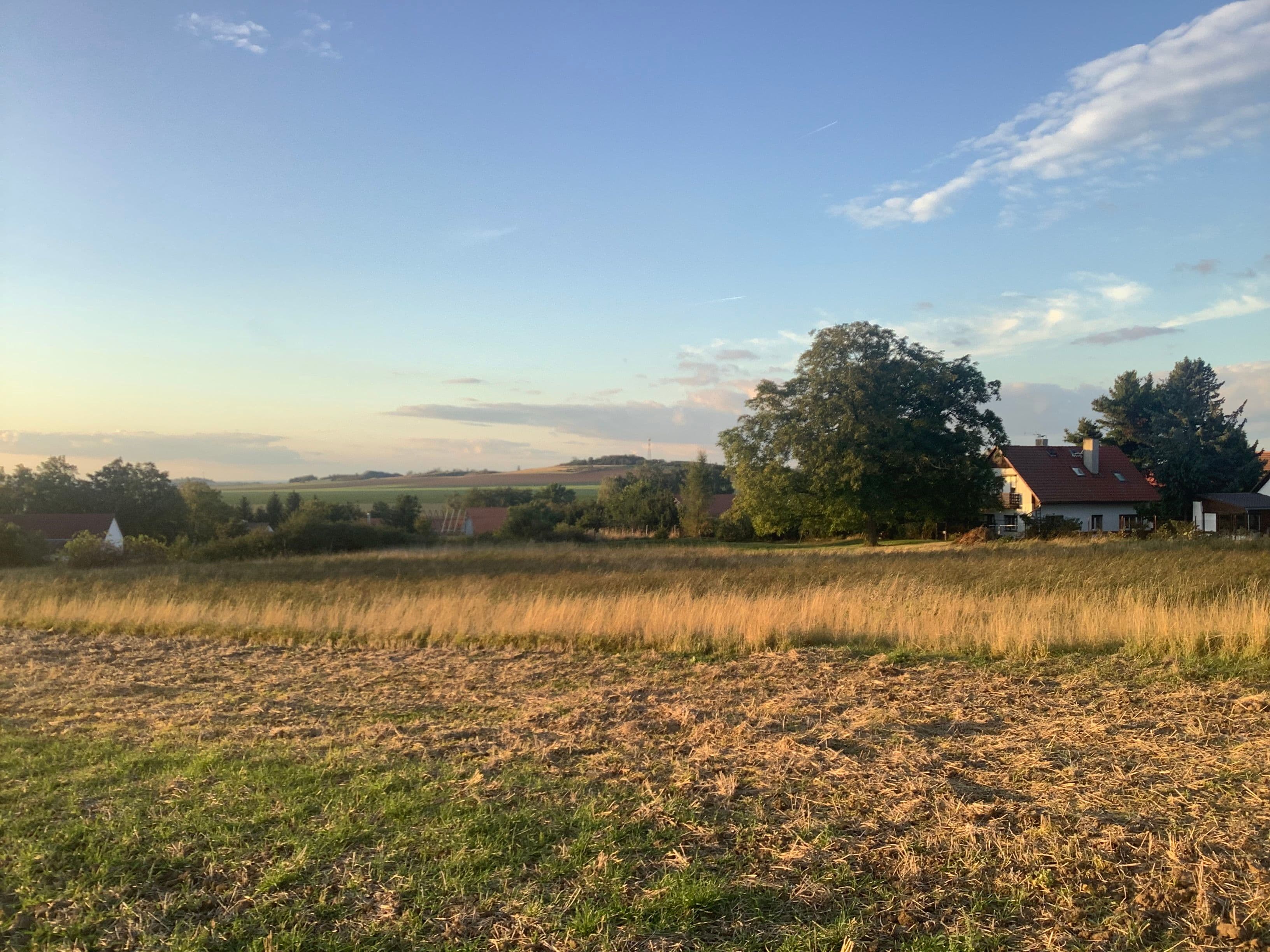 Pozemek Pozemek s loukou a statným ořešákem v Mančicích vhodný pro tiny house Pozemek Pozemek s loukou a statným ořešákem v Mančicích vhodný pro tiny house