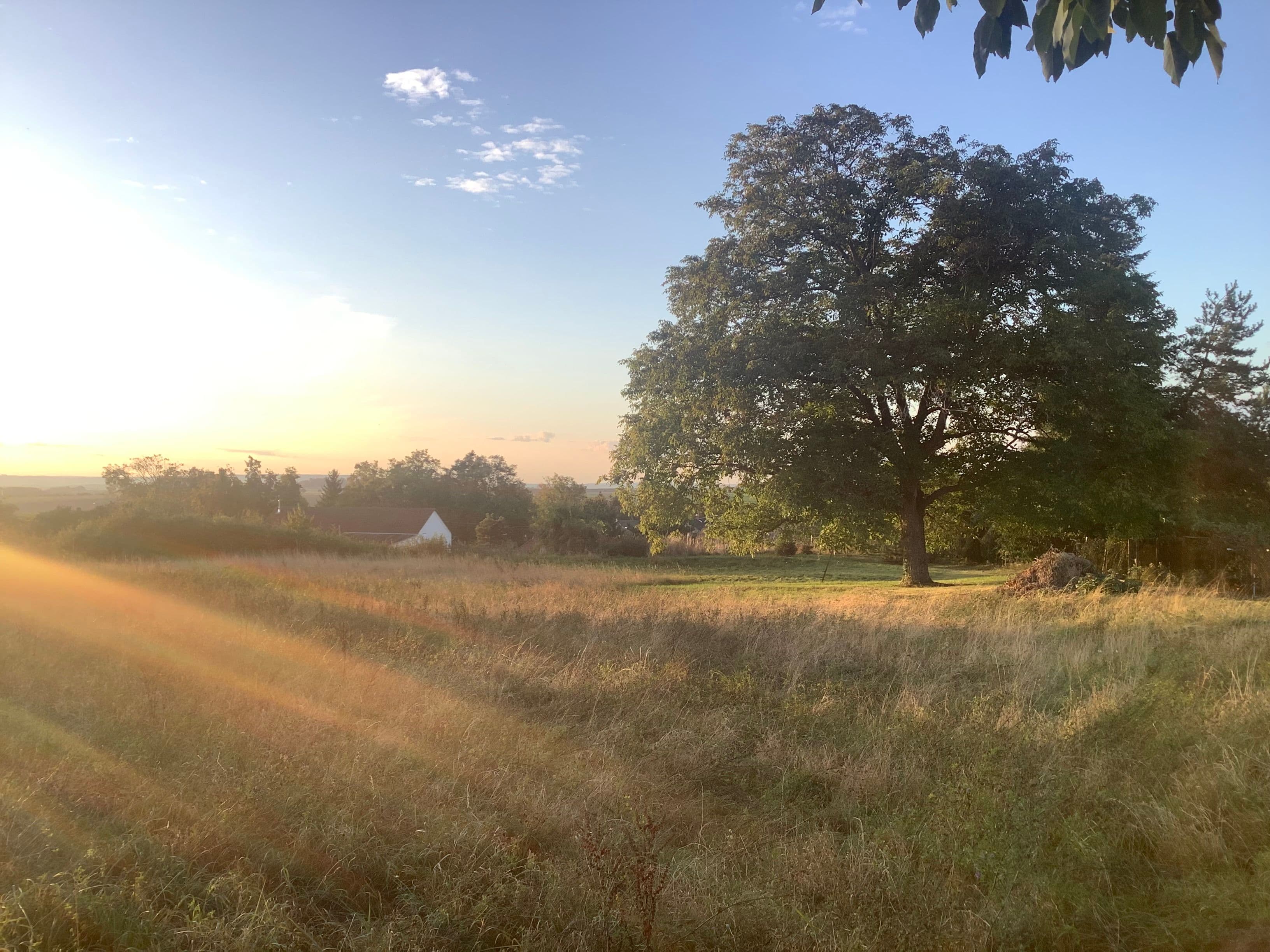 Pozemek Pozemek s loukou a statným ořešákem v Mančicích vhodný pro tiny house Pozemek Pozemek s loukou a statným ořešákem v Mančicích vhodný pro tiny house