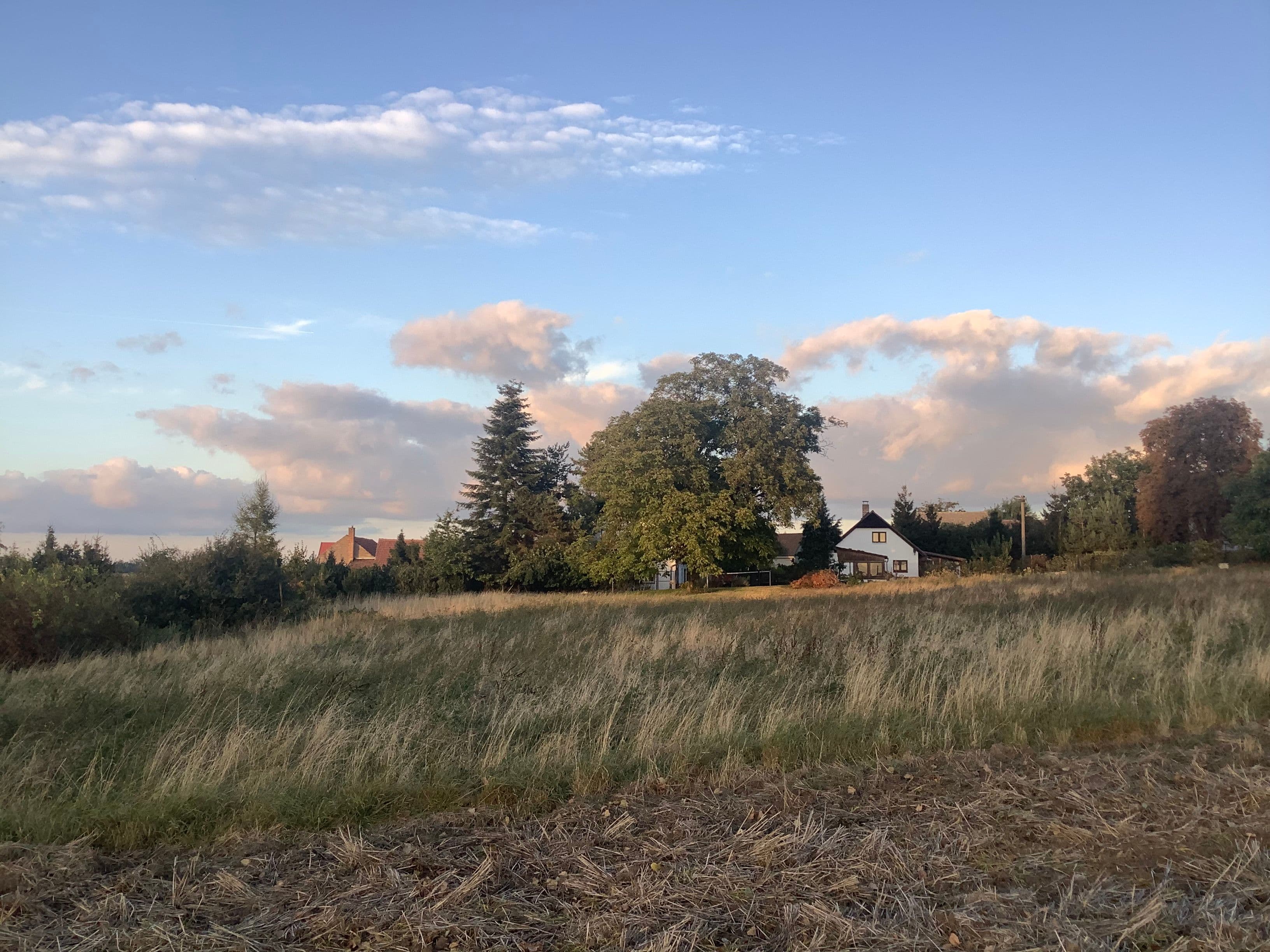 Pozemek Pozemek s loukou a statným ořešákem v Mančicích vhodný pro tiny house Pozemek Pozemek s loukou a statným ořešákem v Mančicích vhodný pro tiny house