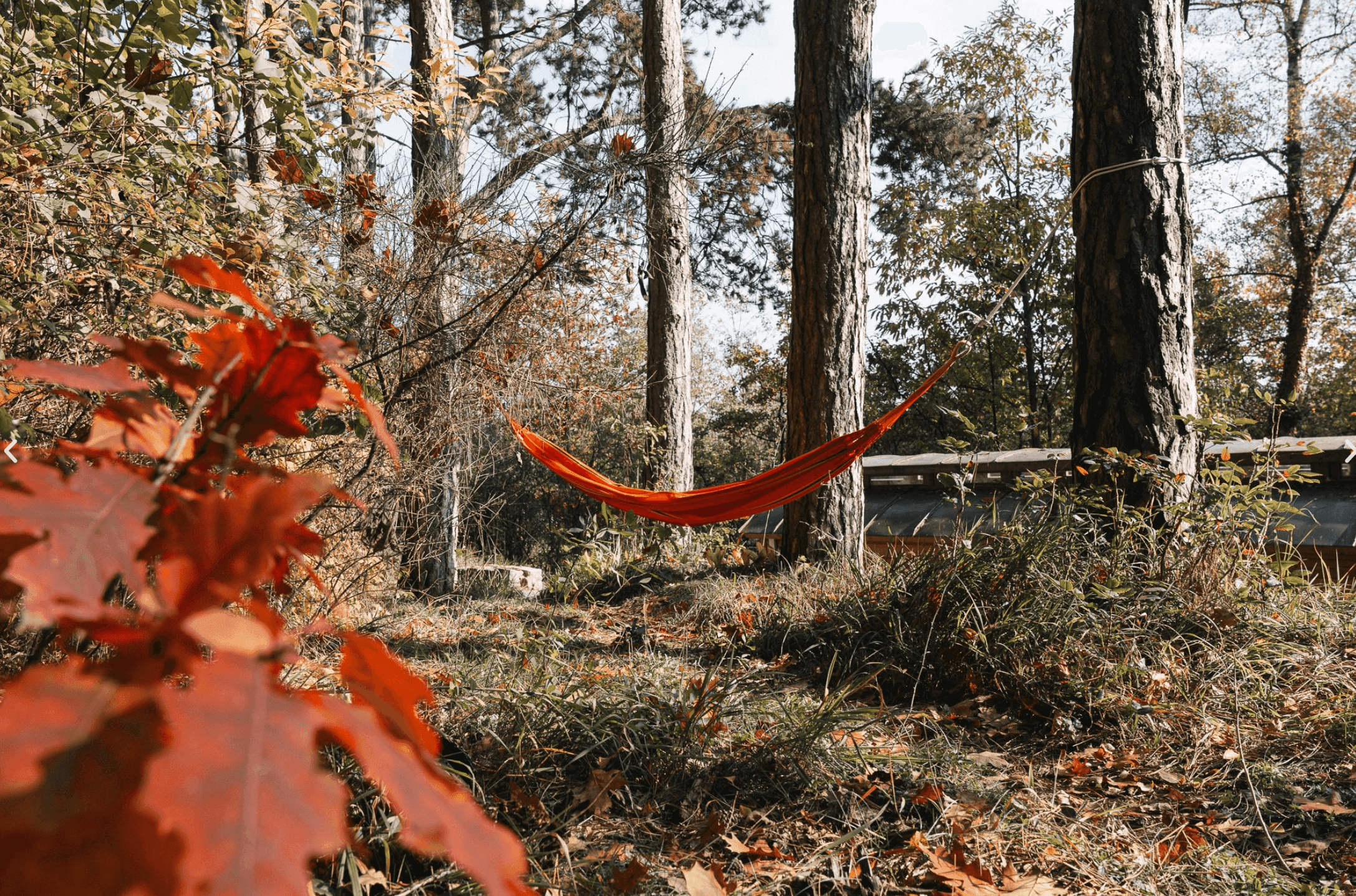 Pozemek 🏡 Na prodej: Glamping Posázaví - investice s atmosférou Pozemek 🏡 Na prodej: Glamping Posázaví - investice s atmosférou