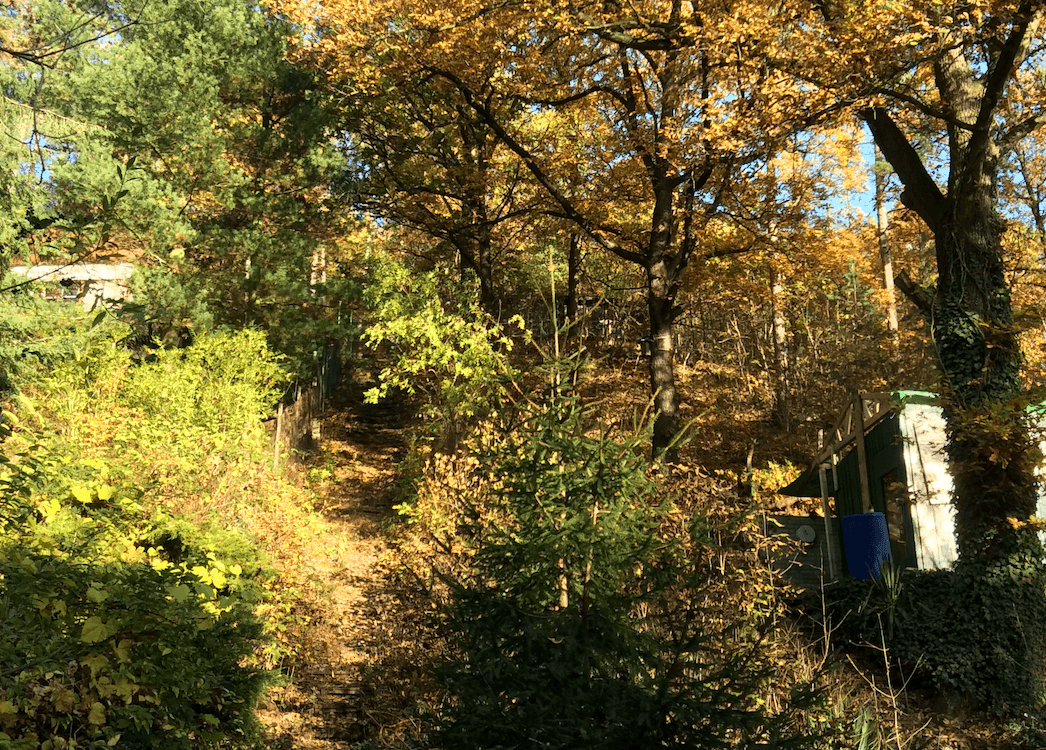 Pozemek 🏡 Prodej svažitého pozemku s chatou k rekonstrukci – Černošice, Slunečná Pozemek 🏡 Prodej svažitého pozemku s chatou k rekonstrukci – Černošice, Slunečná