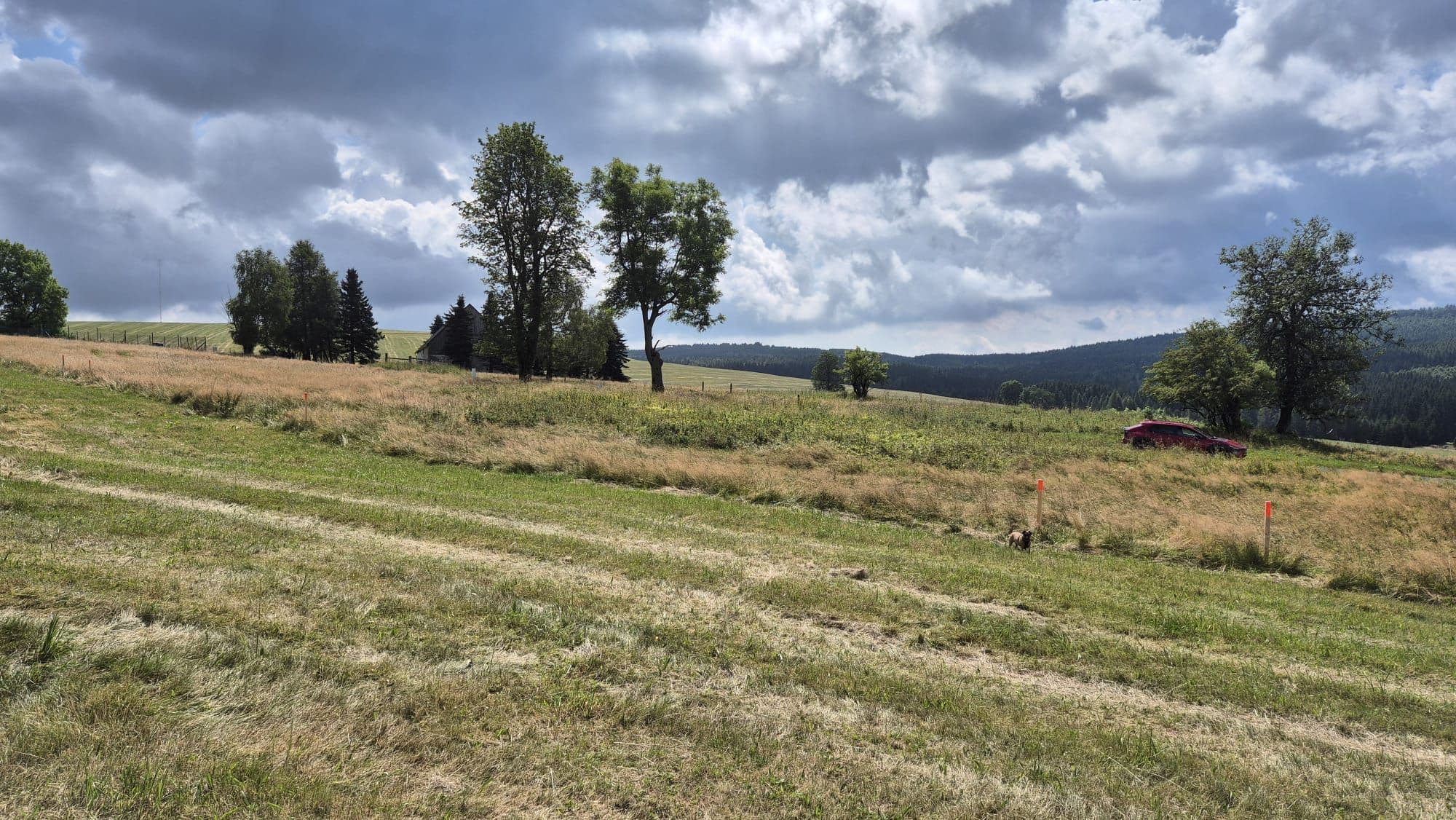 Pozemek 🌿 Pronájem souboru pozemku v malebné obci Kalek – brána do Krušných hor! 🌿 Pozemek 🌿 Pronájem souboru pozemku v malebné obci Kalek – brána do Krušných hor! 🌿