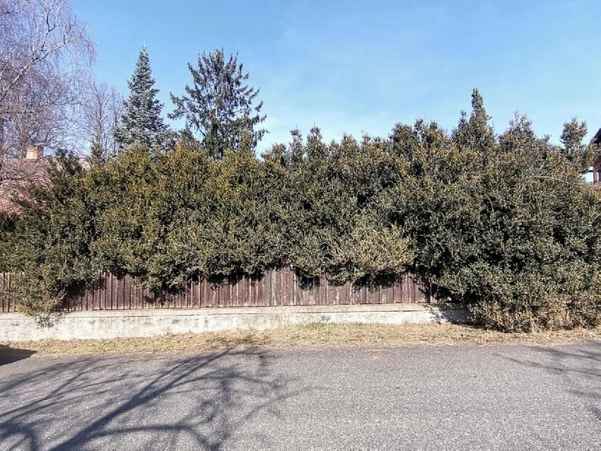 Pozemek 🏡 Pronájem kouzelného stavebního pozemku ve Velkých Popovicích – oáza klidu v přírodě! Pozemek 🏡 Pronájem kouzelného stavebního pozemku ve Velkých Popovicích – oáza klidu v přírodě!