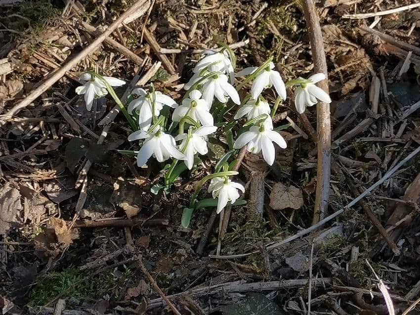 Pozemek 🏡 Pronájem kouzelného stavebního pozemku ve Velkých Popovicích – oáza klidu v přírodě! Pozemek 🏡 Pronájem kouzelného stavebního pozemku ve Velkých Popovicích – oáza klidu v přírodě!