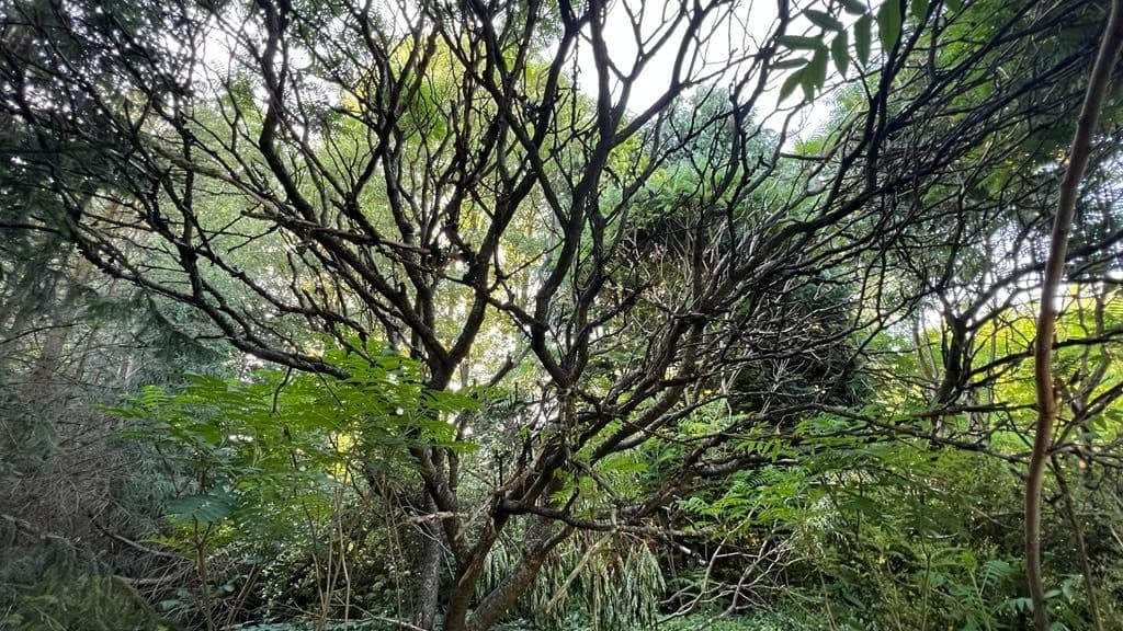 Pozemek 🌄 Prodej stavebního pozemku v Olšanech - Šumperk | Bazoš.cz Pozemek 🌄 Prodej stavebního pozemku v Olšanech - Šumperk | Bazoš.cz