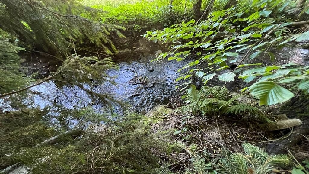 Pozemek 🌄 Prodej stavebního pozemku v Olšanech - Šumperk | Bazoš.cz Pozemek 🌄 Prodej stavebního pozemku v Olšanech - Šumperk | Bazoš.cz