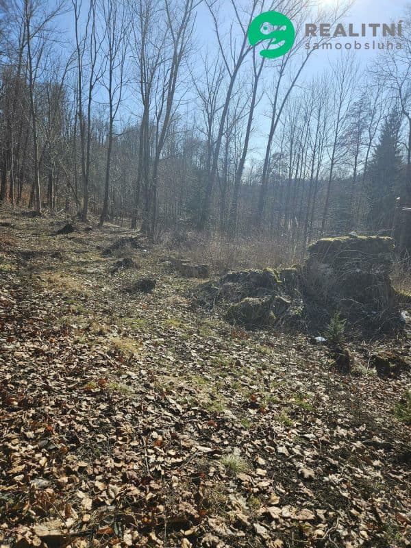 Pozemek Pozemek Stará Ves u Vysokého nad Jizerou - Semily | Bazoš.cz Pozemek Pozemek Stará Ves u Vysokého nad Jizerou - Semily | Bazoš.cz