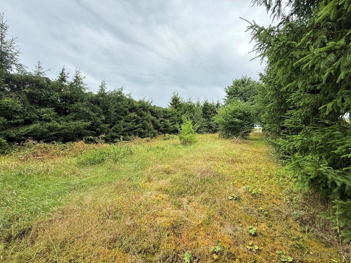 Pozemek Stavební pozemek 973 m2 – Staré Sedliště, okres Tachov - Tachov | Bazoš.cz Pozemek Stavební pozemek 973 m2 – Staré Sedliště, okres Tachov - Tachov | Bazoš.cz