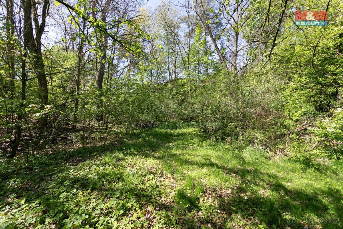 Pozemek Prodej pozemku k bydlení, 1261 m², Horšovský Týn - Domažlice | Bazoš.cz Pozemek Prodej pozemku k bydlení, 1261 m², Horšovský Týn - Domažlice | Bazoš.cz