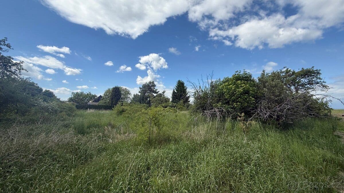 Pozemek Rovinatý stavební pozemek v Lužci nad Cidlinou - Hradec Králové | Bazoš.cz Pozemek Rovinatý stavební pozemek v Lužci nad Cidlinou - Hradec Králové | Bazoš.cz