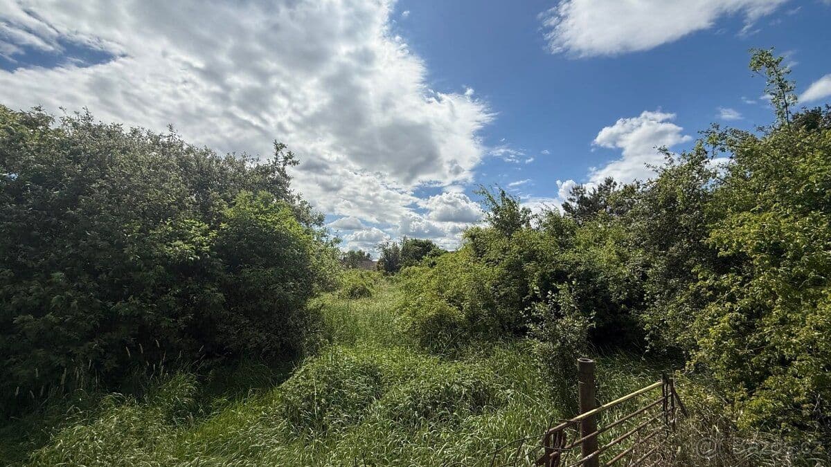 Pozemek Rovinatý stavební pozemek v Lužci nad Cidlinou - Hradec Králové | Bazoš.cz Pozemek Rovinatý stavební pozemek v Lužci nad Cidlinou - Hradec Králové | Bazoš.cz