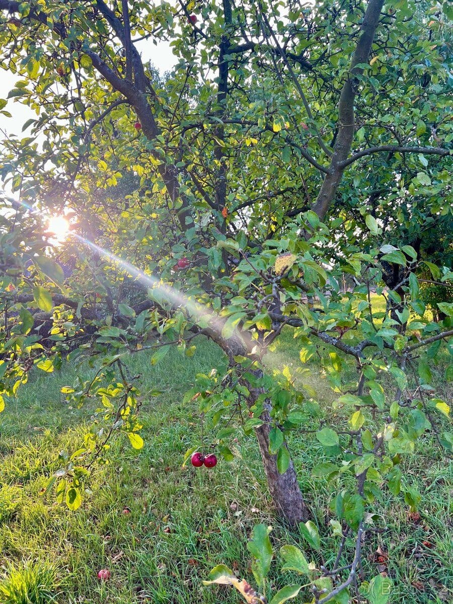 Pozemek Stavební pozemek v Českém Ráji - Semily | Bazoš.cz Pozemek Stavební pozemek v Českém Ráji - Semily | Bazoš.cz